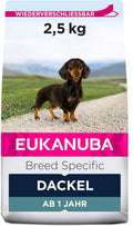 Eukanuba Breed Specific Dackel Trockenfutter - optimal auf die Rasse abgestimmte