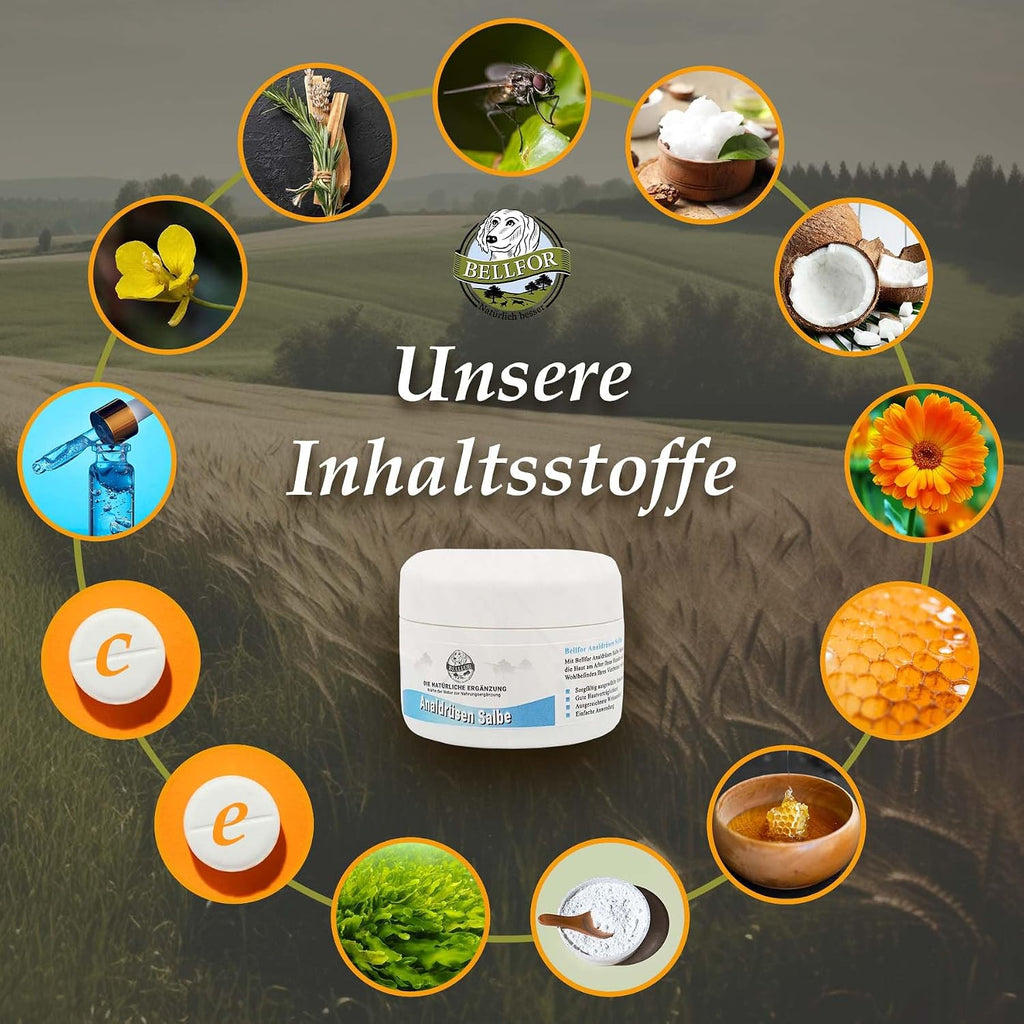 Bellfor Analdruesen Salbe fuer Hunde - Natuerliche Pflege fuer die empfindlich