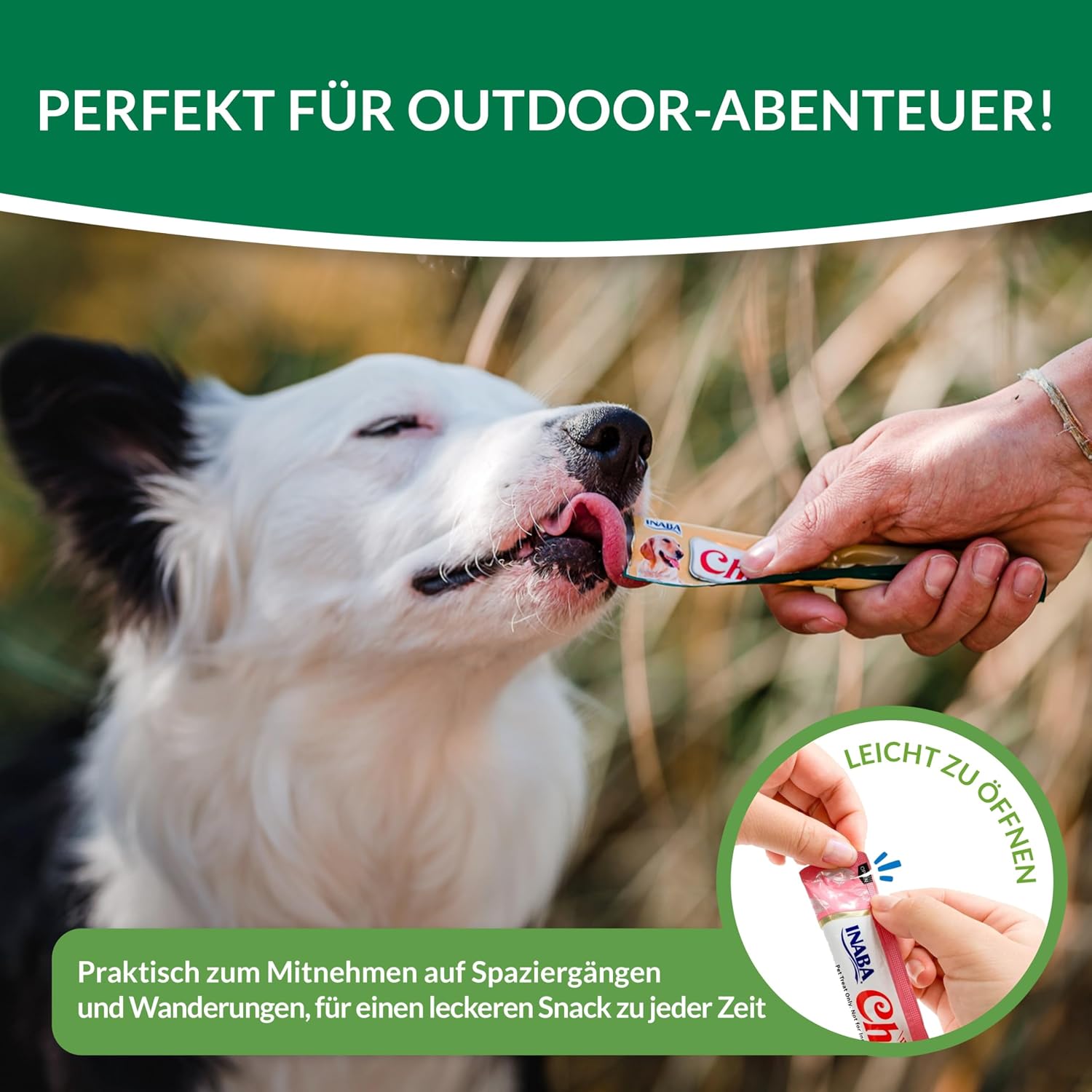 INABA Churu Rolls Hundesnack verschiedene Sorten Huhn