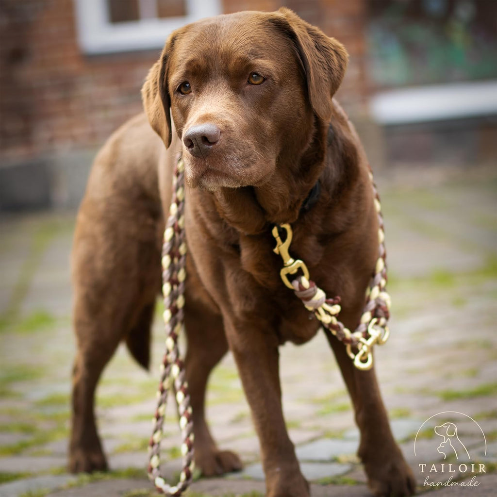 Geflochtene Hundeleine 2 m verstellbar Paracord Fuehrleine Trainingsleine