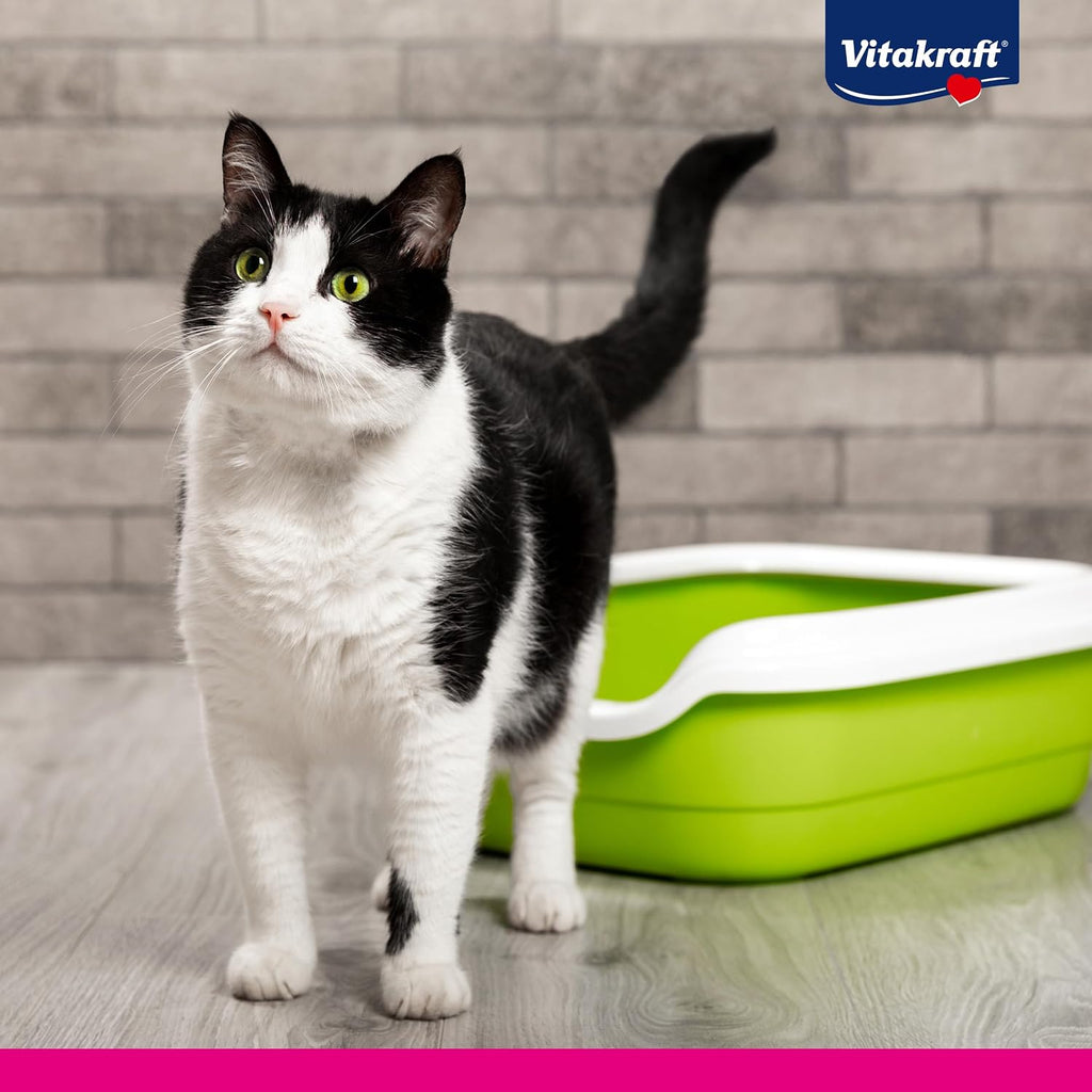 Katzenstreu klumpend Vitakraft Compact Ultra Classic 4kg verschiedene Sorten