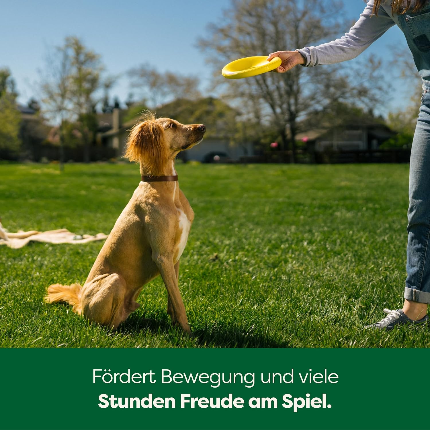 Earth Rated Fliegender Ring Hundespielzeug Wasserdicht Schwimmfaehig S-L Gelb