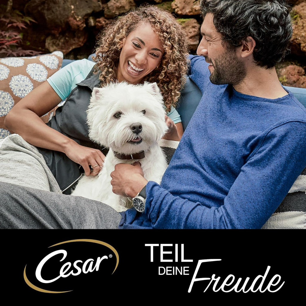 Cesar Hundenassfutter Selektion in Sauce 48x100g (4x12)