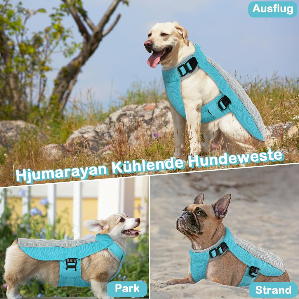 Hundekuehlweste Blau S atmungsaktiv mit D-Ring als Kuehlmantel fuer Sommer