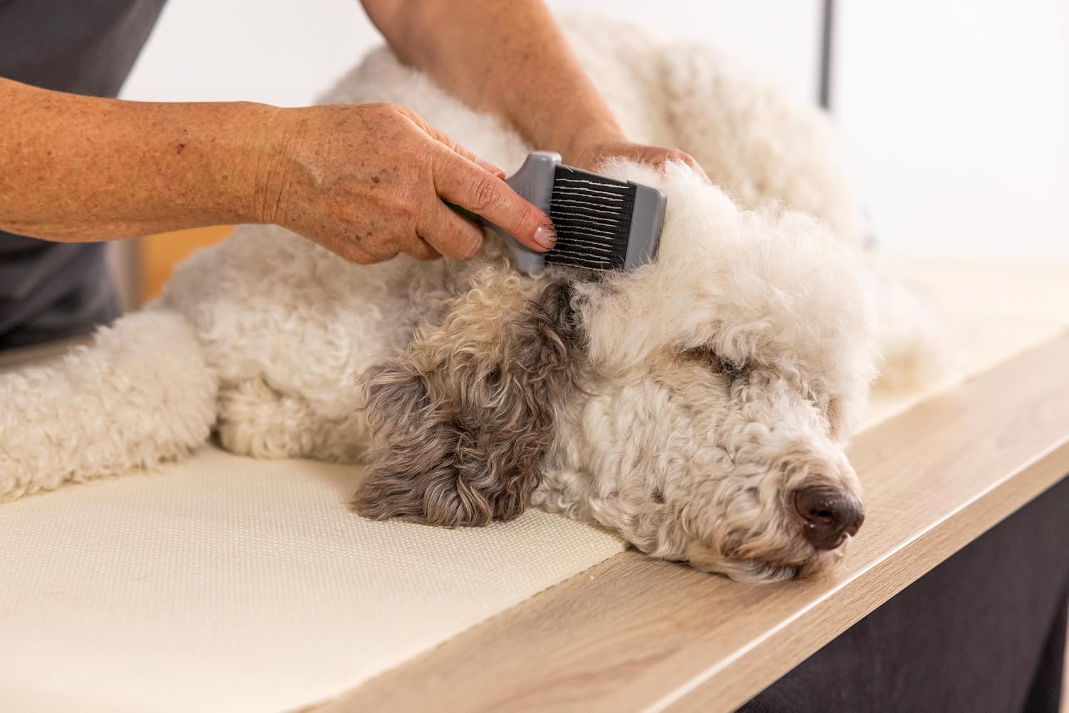 Wahl Zupfbürste doppelseitig für Hund und Katze Fellpflege