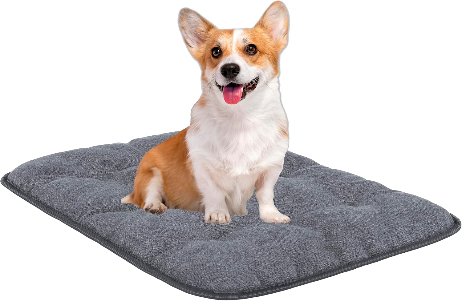 Hundekissen 70x50 cm M grau, allergikerfreundlich, rutschfest, 40°C waschbar