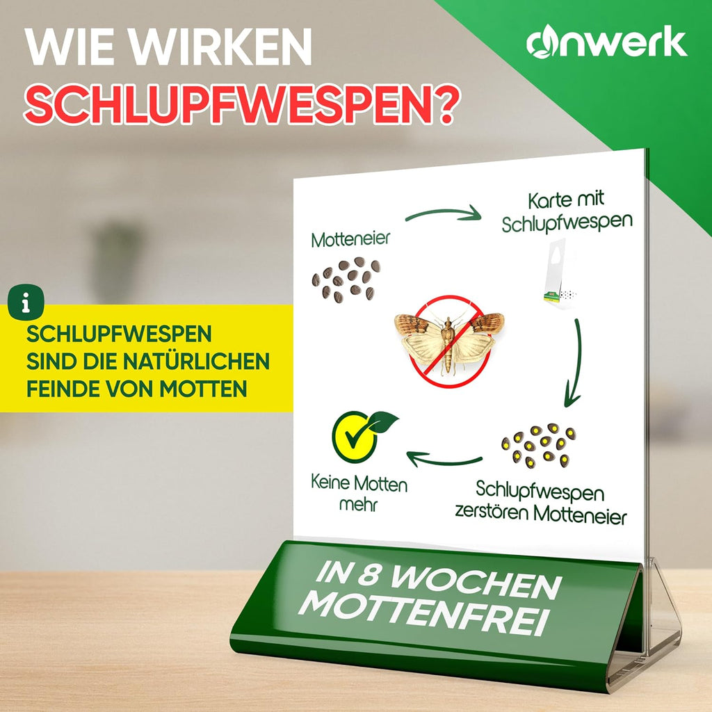 anwerk Schlupfwespen gegen Lebensmittelmotten 4 Karten á1 Lieferung
