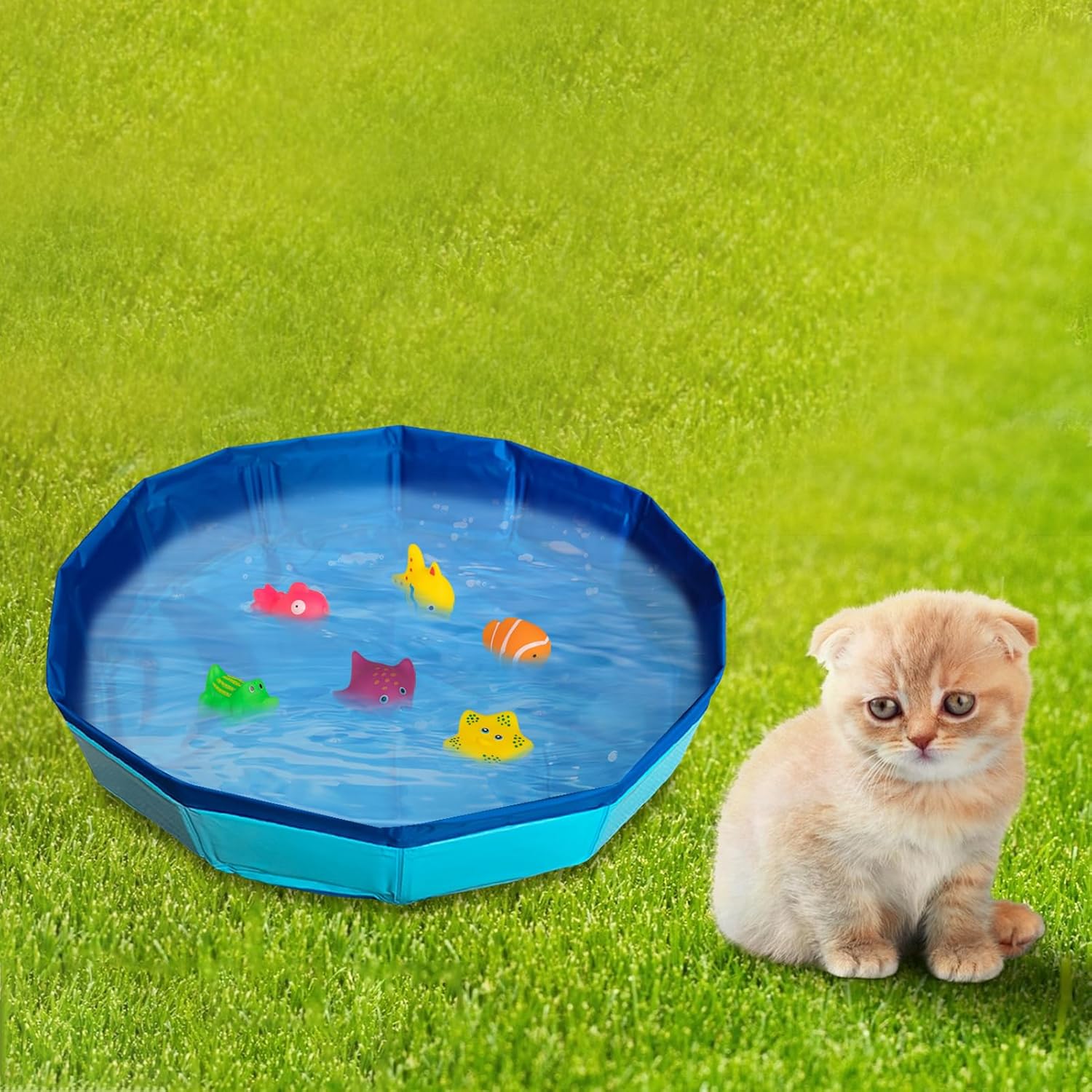 faltbarer Katzenpool 30×10 cm Mini Schwimmbecken mit Spielzeugfischen