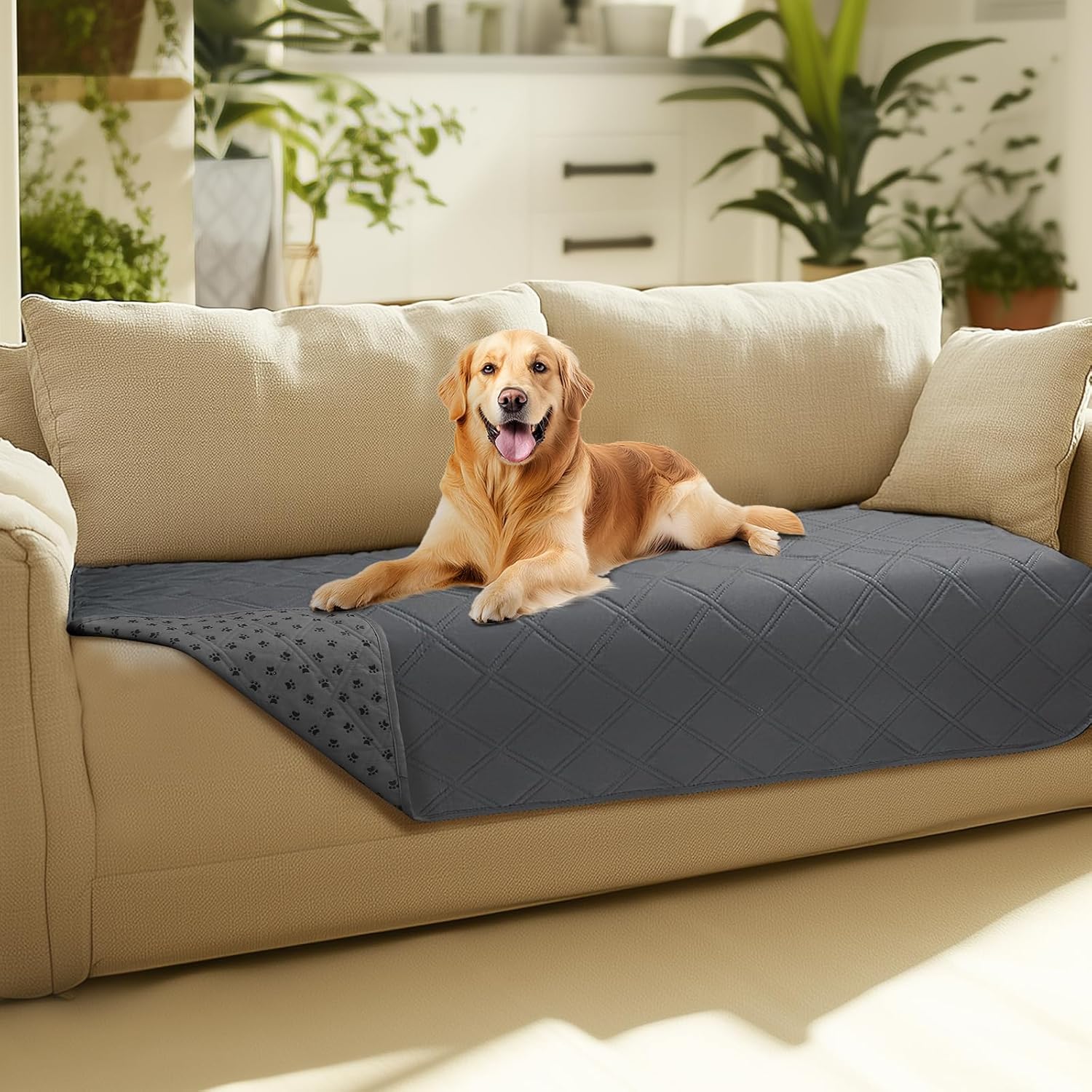 Luciphia Hundedecke wasserdicht rutschfest Grau 76×178 cm 127cm-208cm