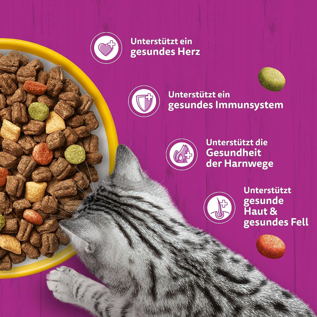 Katzenfutter Trockenfutter verschiedene Sorten Huhn