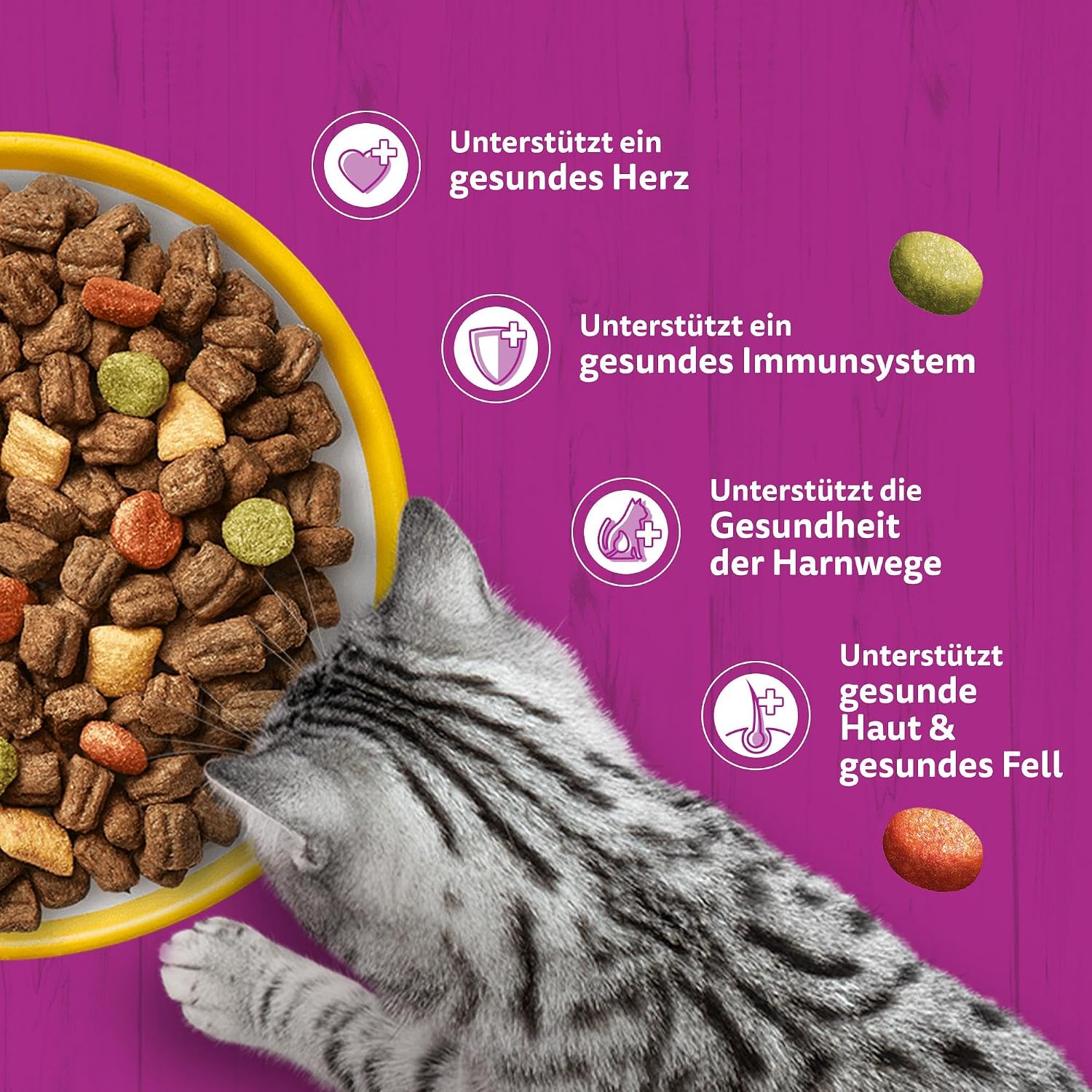 Katzenfutter Trockenfutter verschiedene Sorten Huhn