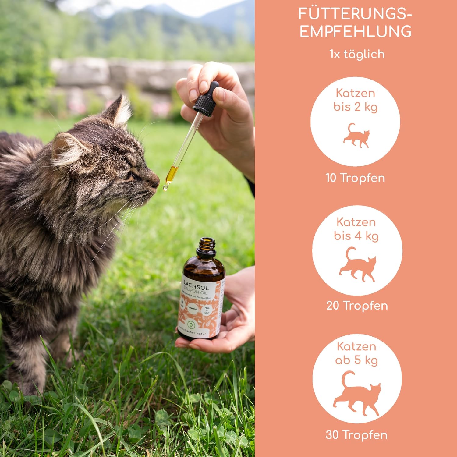 Lachsöl für Hunde Omega-3 Omega-6 Norwegisches Ergänzungsöl