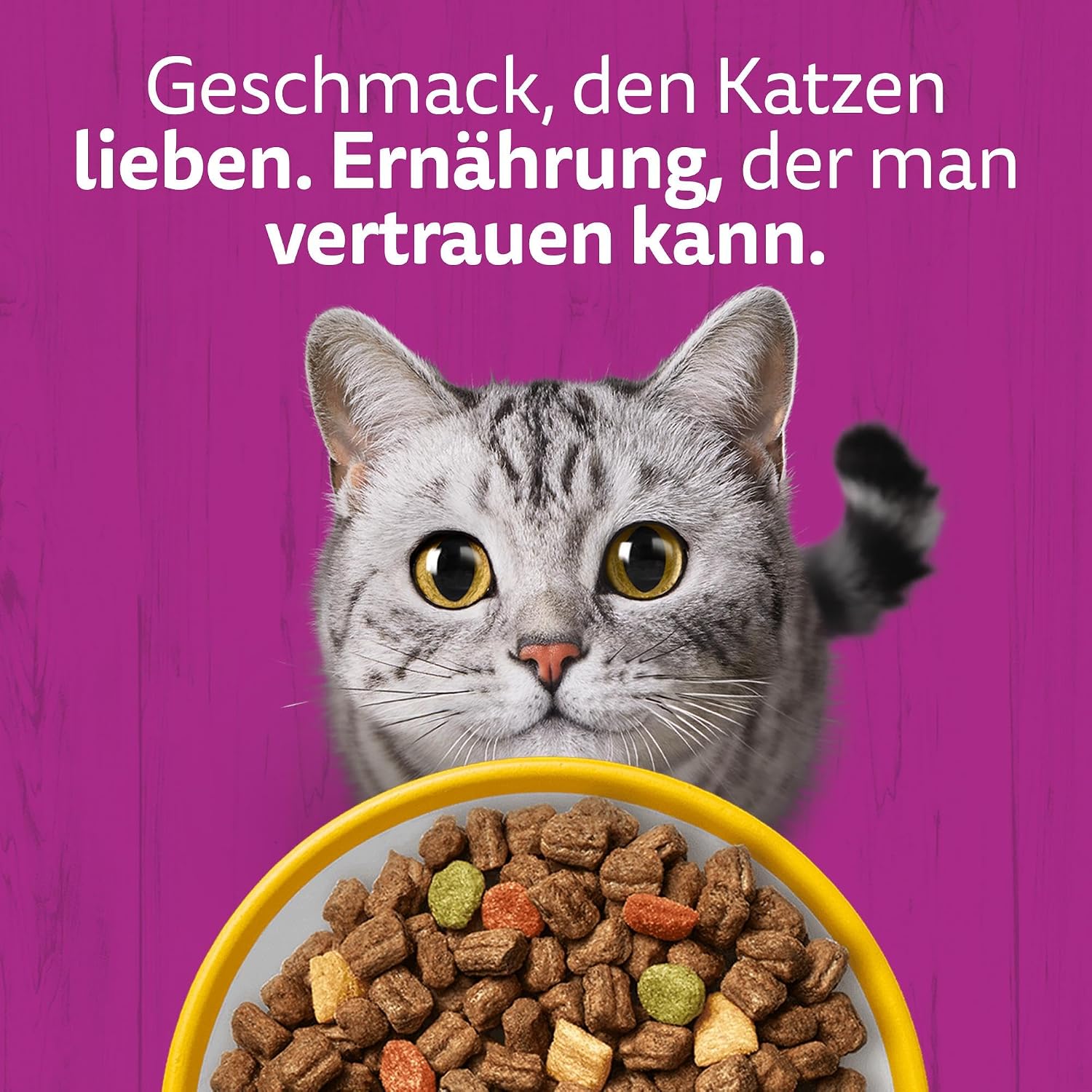 Whiskas Katzen Trockenfutter 3,8kg bis 7kg verschiedene Geschmacksrichtungen