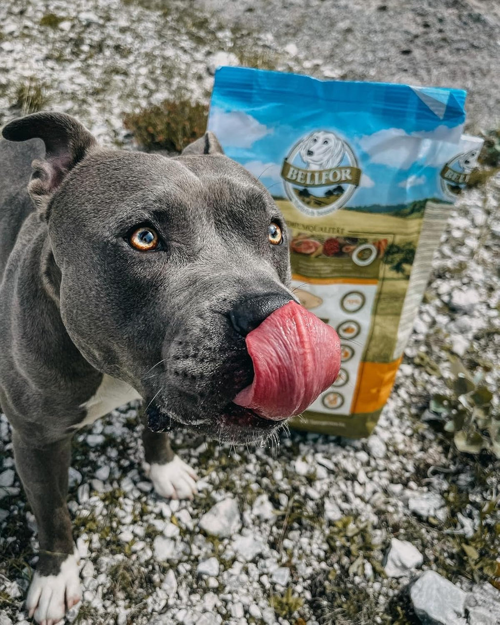 Bellfor Naturfarm Schmaus Hundefutter Insekten getreidefrei