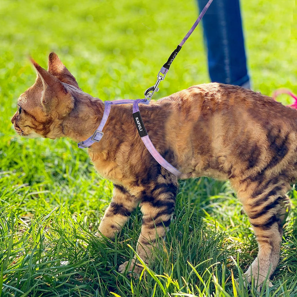 TIESOME Katzengeschirr mit Leine und Halsband, verstellbar, ausbruchsicher, Farb