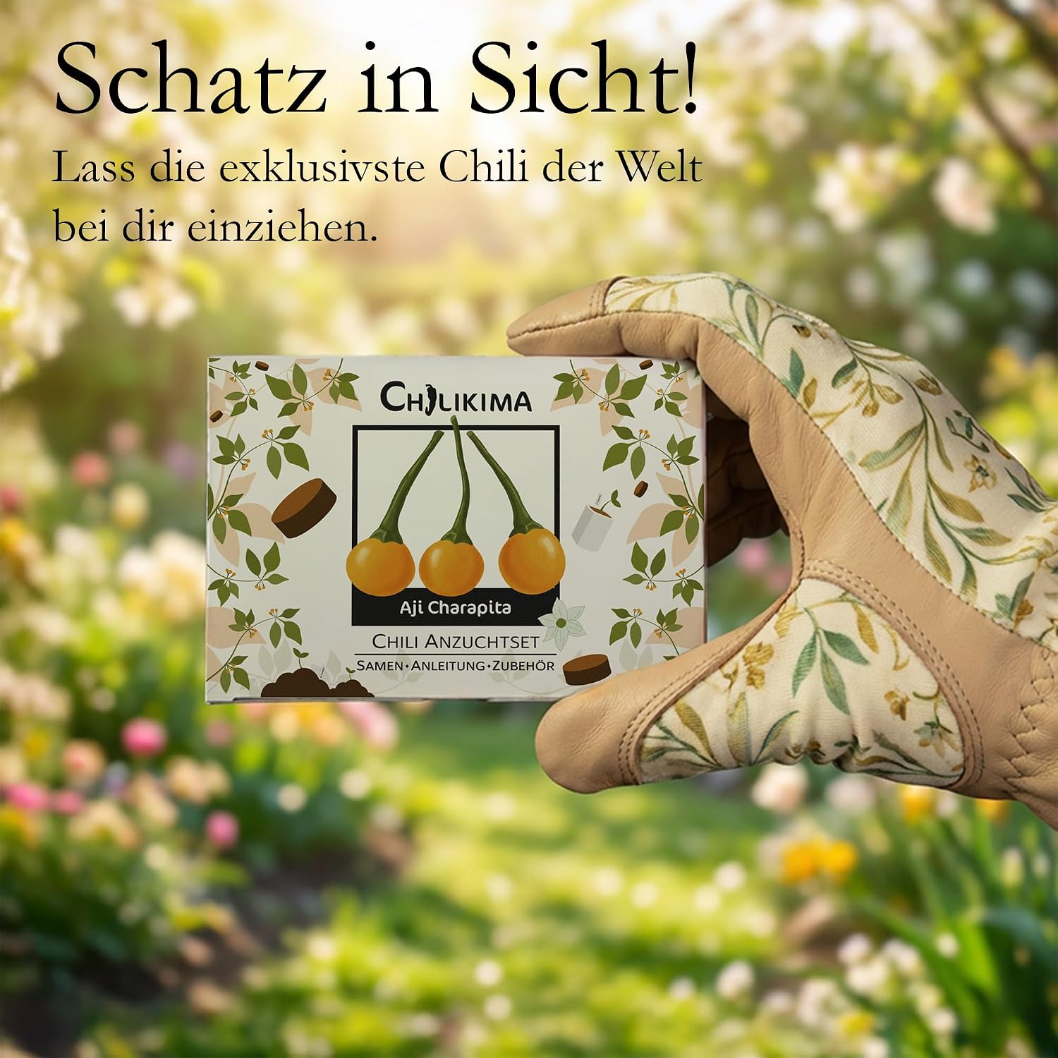 Aji Charapita Chilisamen Anzuchtset Starter Kit Chili Pflanzen ziehen