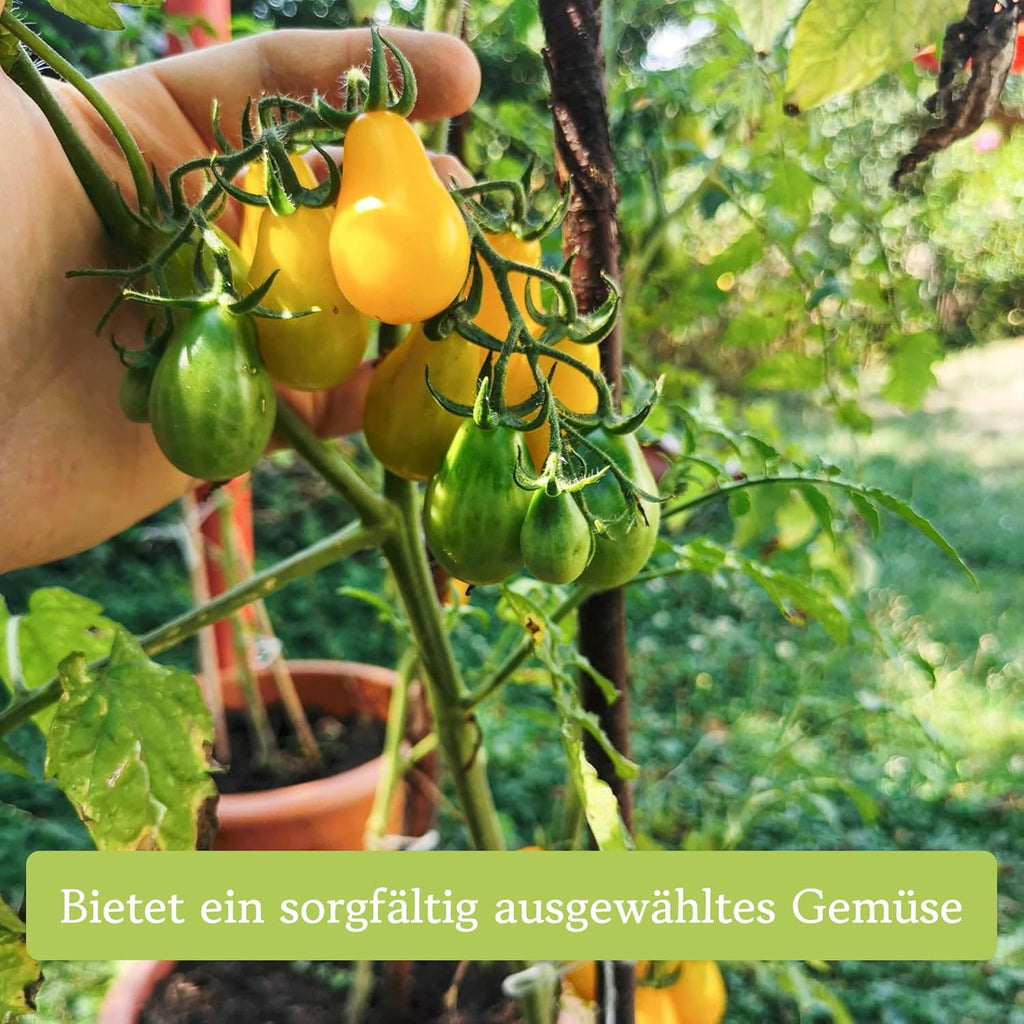 12er Tomatensamen Set alte Sorten fuer Garten und Balkon, samenfest