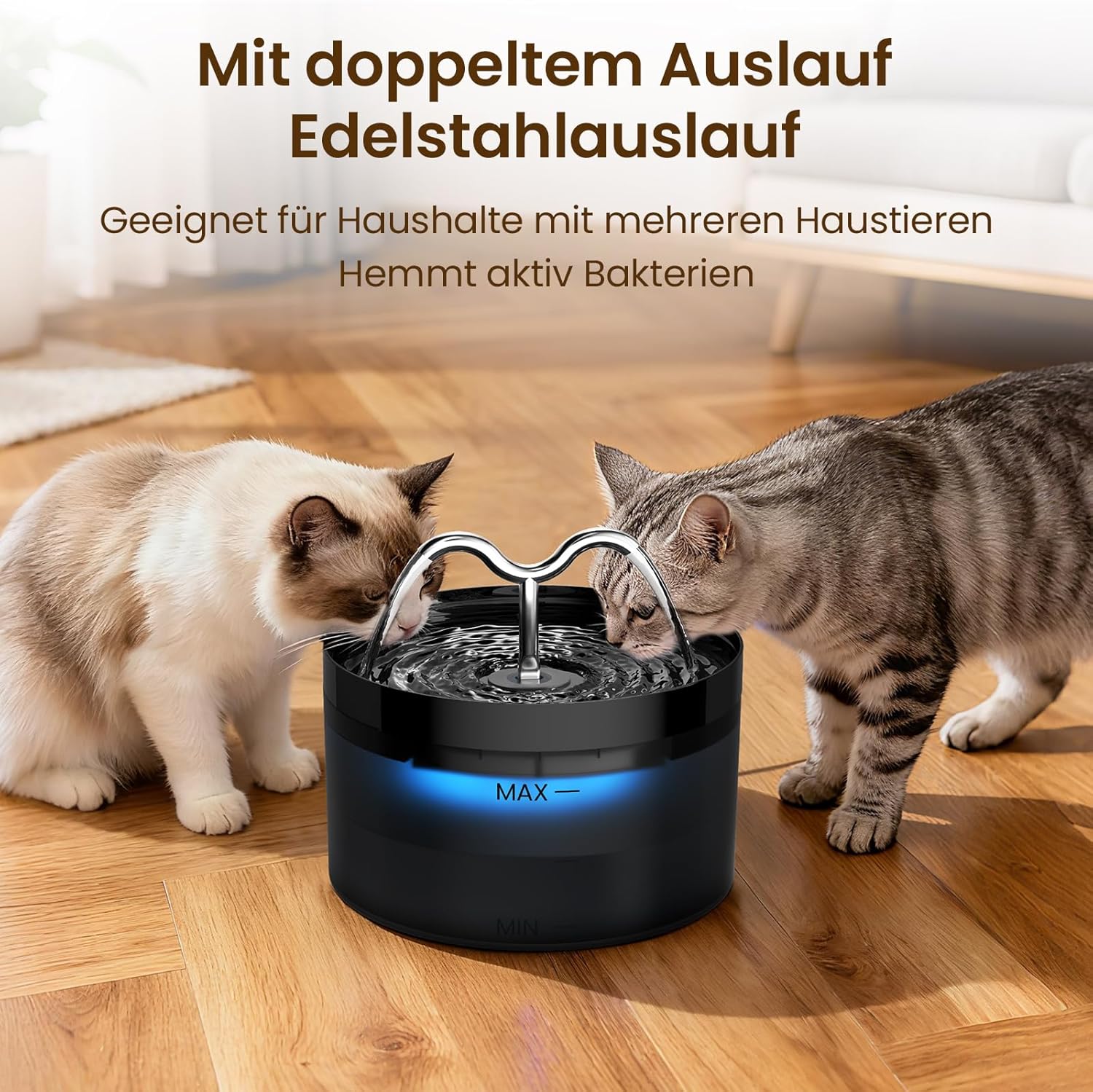 DOOOB Katzentrinkbrunnen mit leisem Pumpensystem, 6 Filter 6 Schwaemme