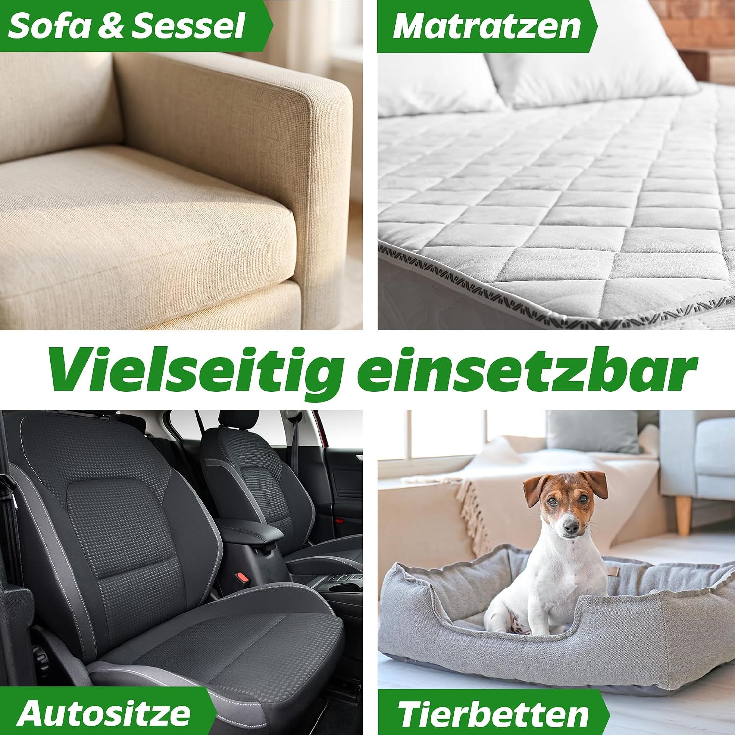 Enzymreiniger Konzentrat | Geruchsneutralisierer Hund Katze Urin