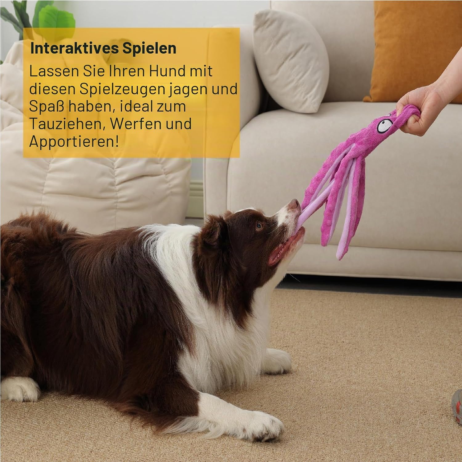 Hundespielzeug Krake Pluesch mit Quietschie und Crinkle fuer kleine und mittelgross