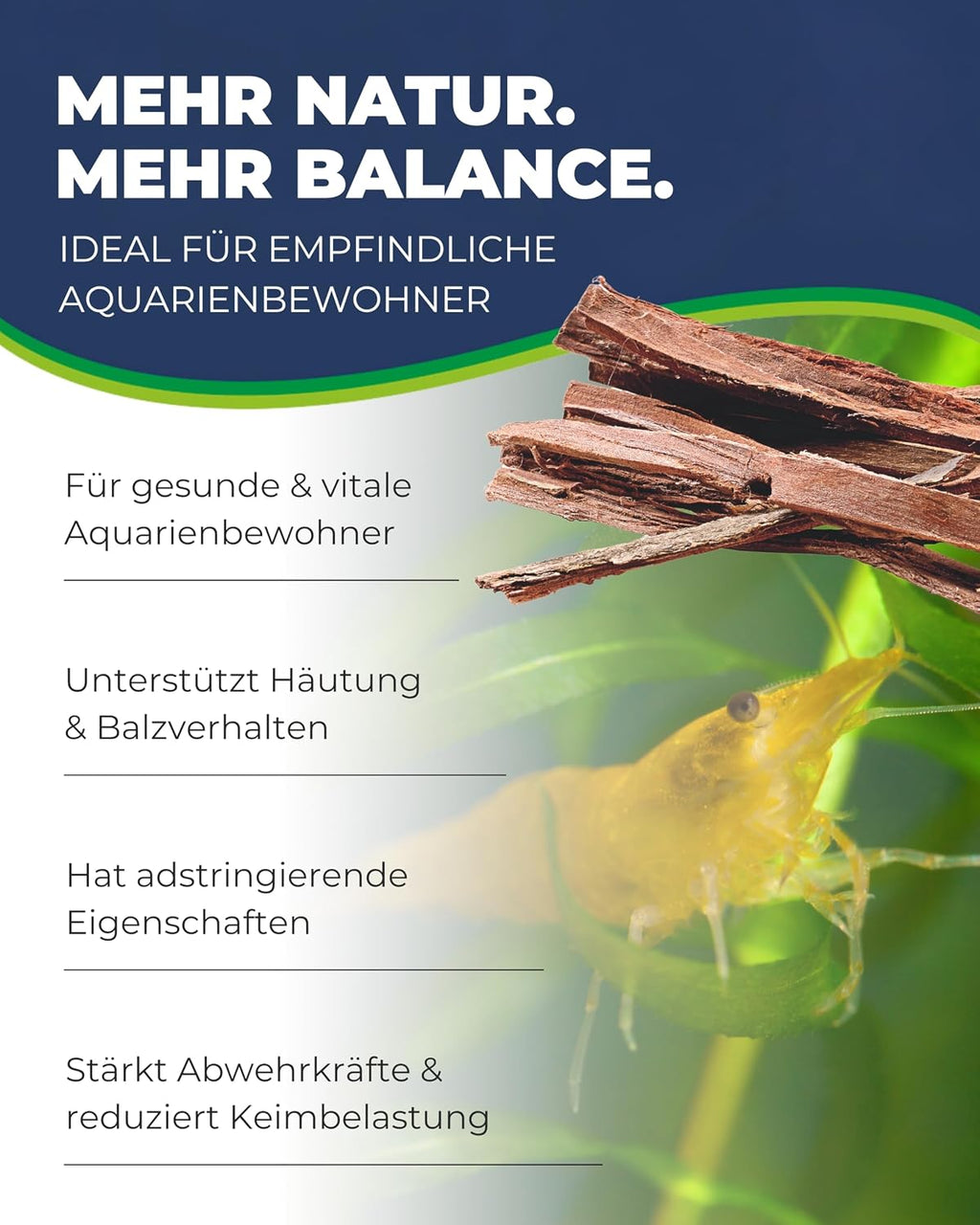 Hobby Catappa Bark Seemandelbaumrinde 12x Aquarium Garnelen Wasserzusatz