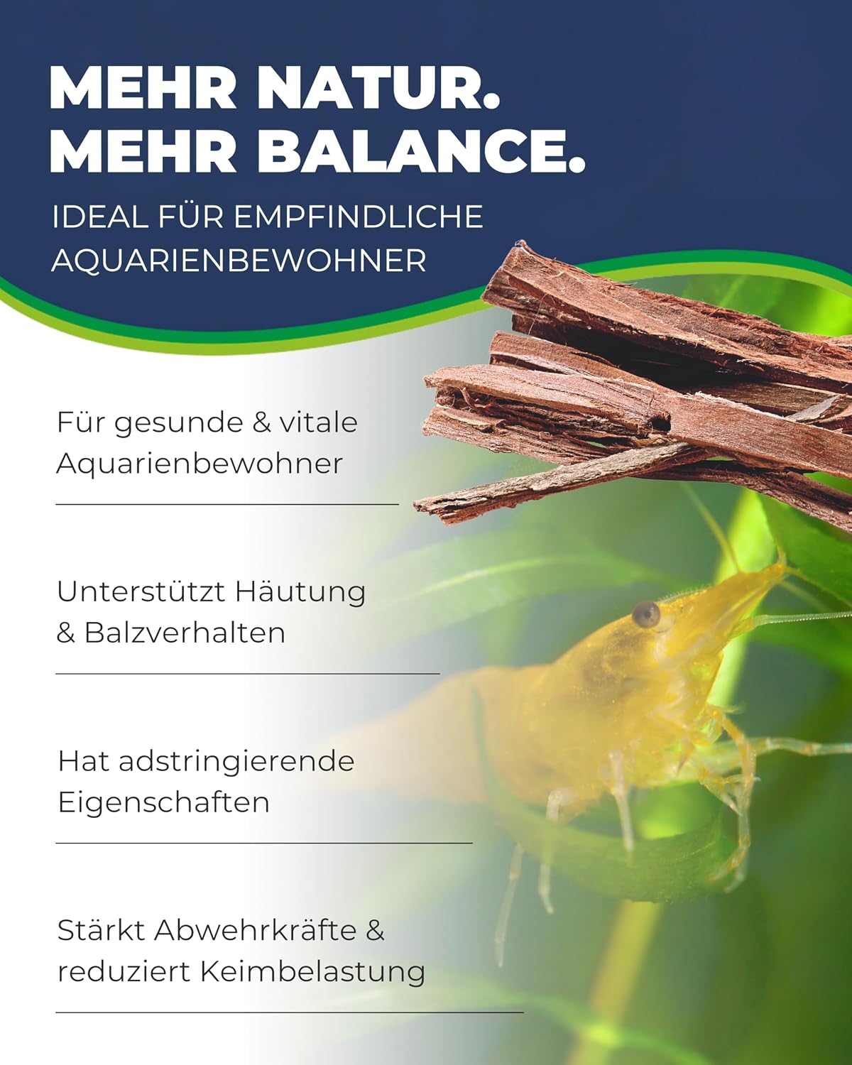 Hobby Catappa Bark Seemandelbaumrinde 12x Aquarium Garnelen Wasserzusatz