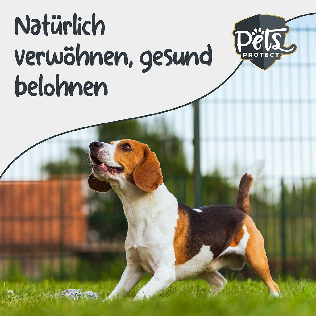 Pets Protect Bio Kokoshappen 300 g vegane Hundesnacks getreidefrei