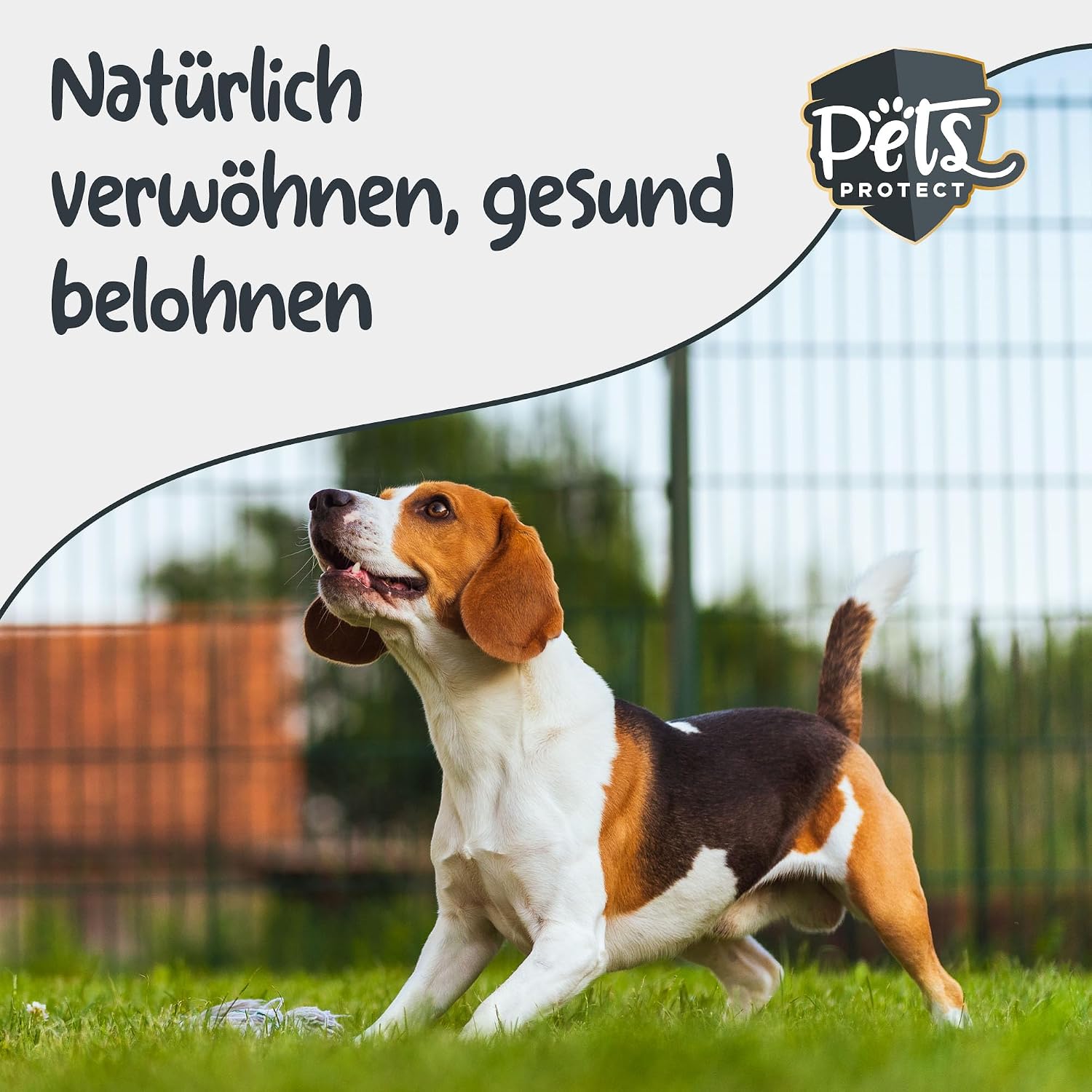 Pets Protect Bio Kokoshappen 300 g vegane Hundesnacks getreidefrei