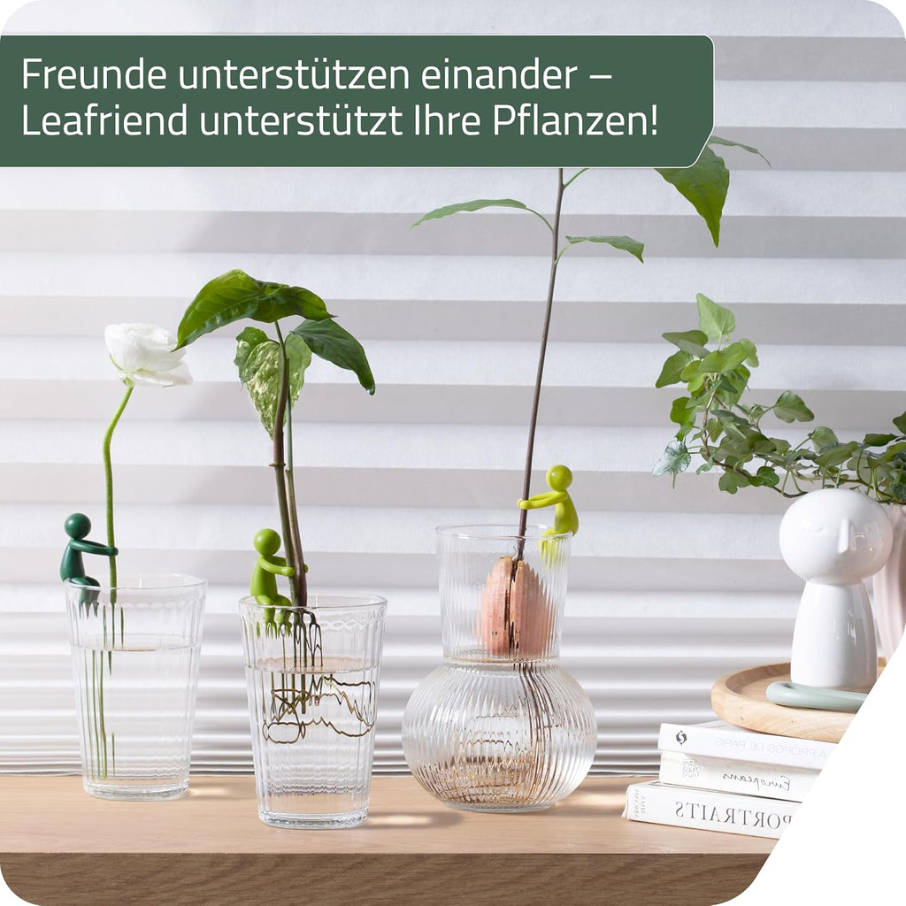 Leafriend Pflanzenhalter 3er Set fuer Stecklinge und Triebe Indoor