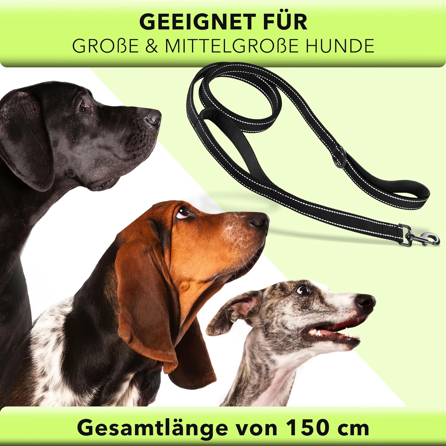 AVANA reflektierende Hundeleine 1,5 m mit Kurzfuehrer und gepolsterten Griffen
