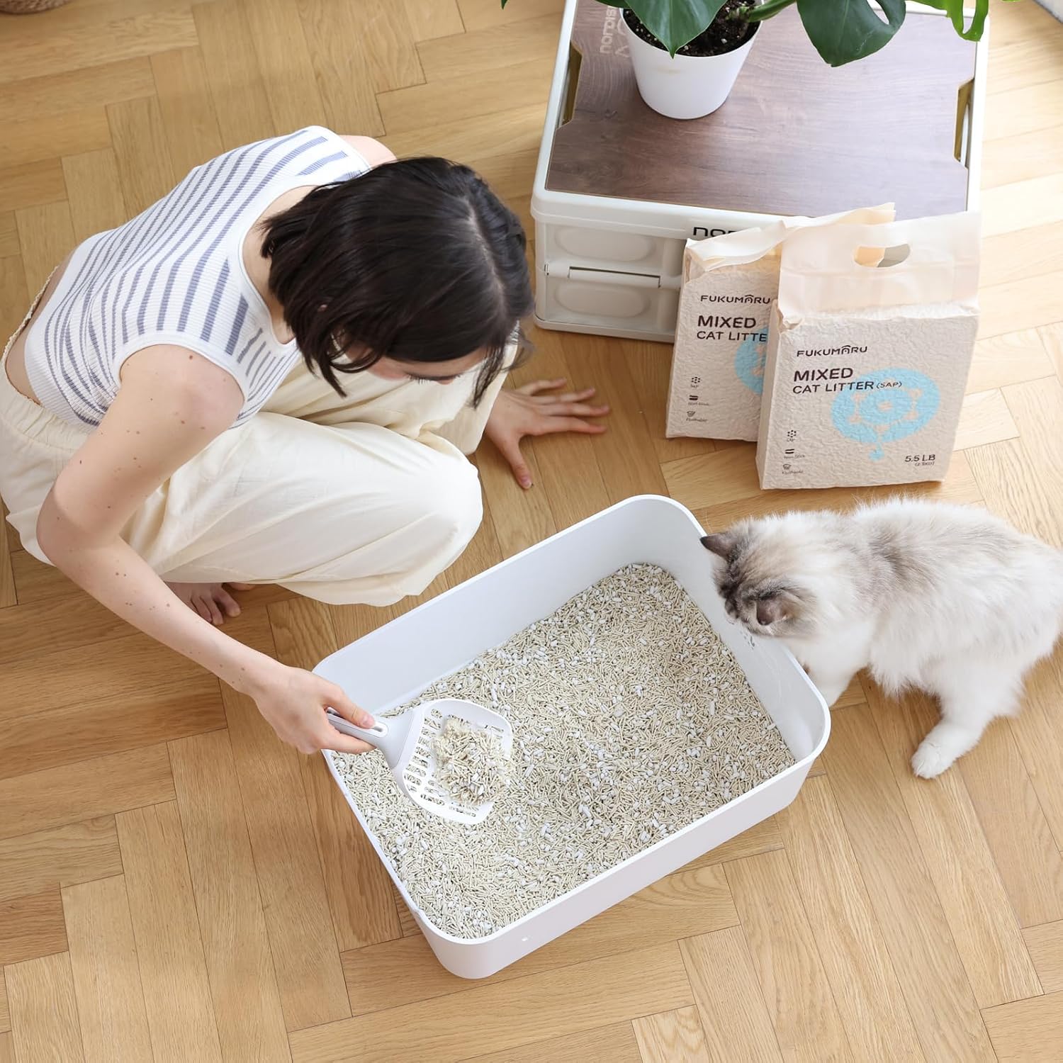 FUKUMARU Tofu Katzenstreu 2,7 kg verschiedene Sorten schnell klumpend