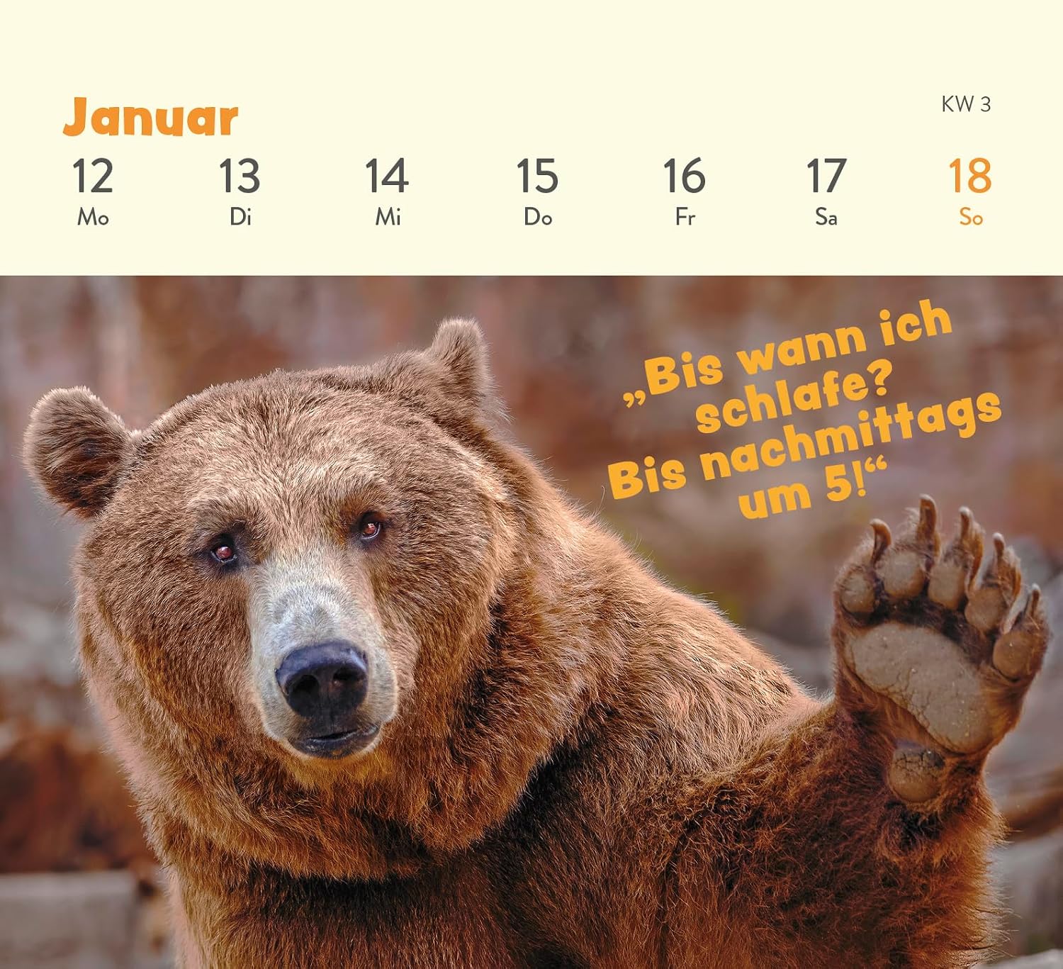 Mini Wochenkalender 2026 Tischkalender Tierisch Gechillt mit Tierfotos