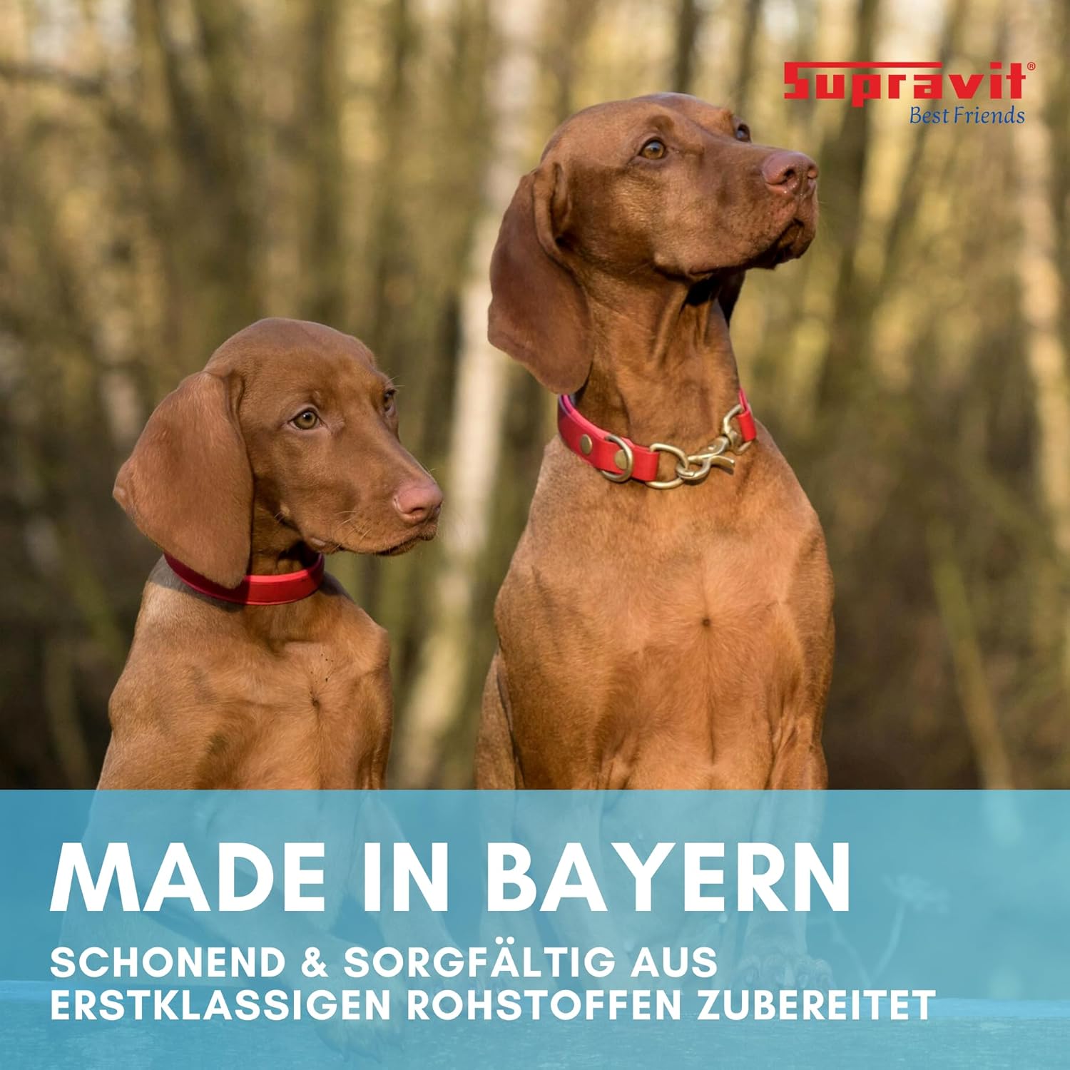 Supravit Hundefutter Nass Fisch & Lachs 12× getreidefrei, verschiedene Sorte
