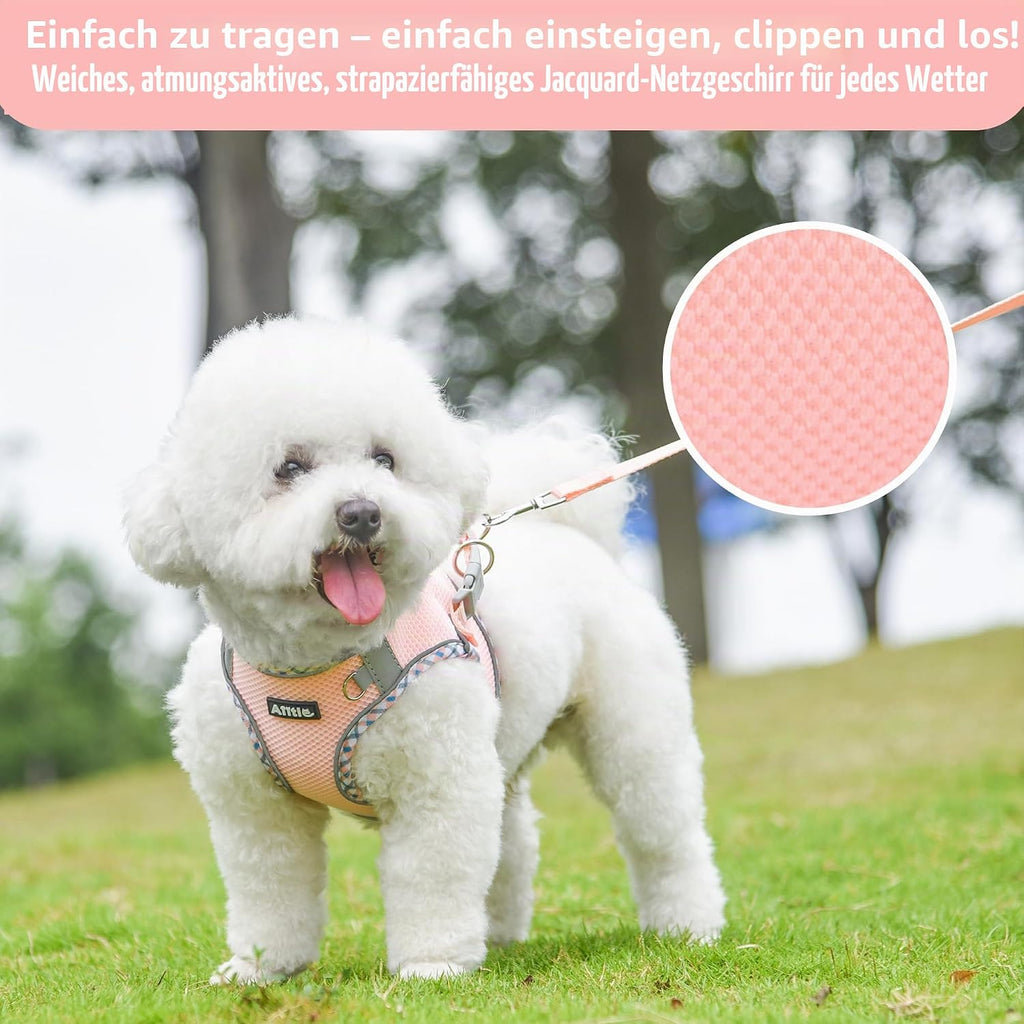 AIITLE Hundegeschirr reflektierend fuer kleine Hunde und Katzen in verschiedenen Groessen