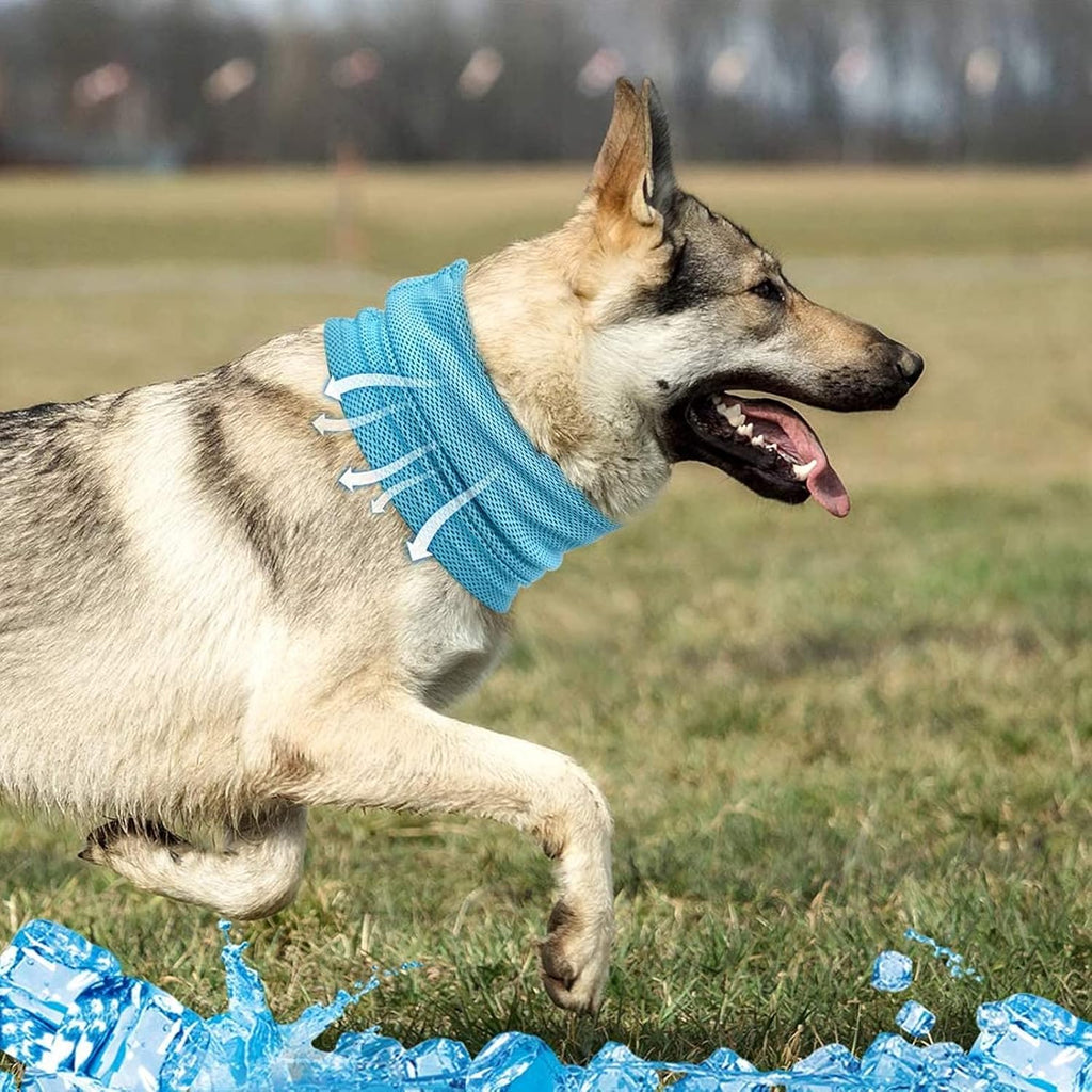Kuehlhalstuch fuer Hunde S-L, atmungsaktives selbstkuehlendes Hundehalsband