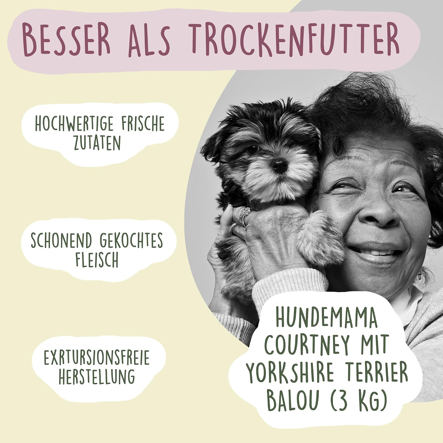 Fidelis Hundefutter nass Lachs & Suesskartoffel 6x400g Glas verschiedene Sorten