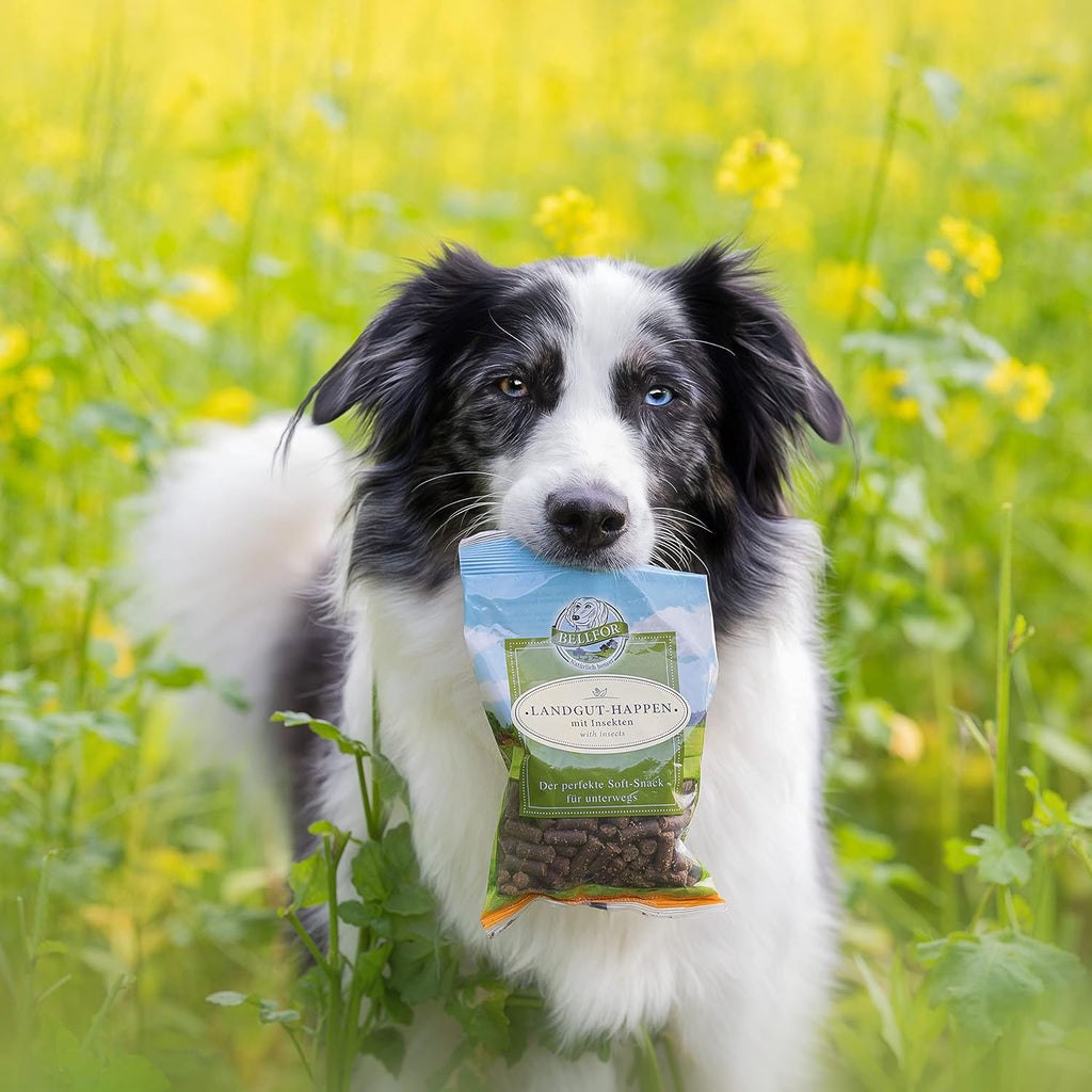 Bellfor Landgut-Happen Insekten - Hypoallergene, getreidefreie Soft-Snacks