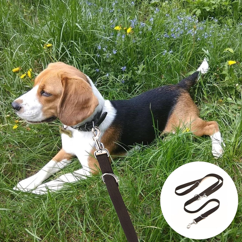 Hundeleine 2,5 cm x 260 cm verstellbar schwarz mit 2 Karabinern für große Hunde