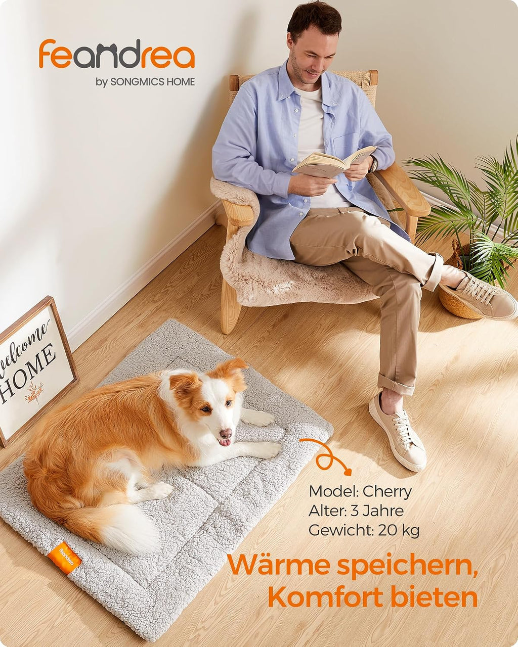 Feandrea Hundedecke 60x45 cm S rutschfest maschinenwaschbar hellgrau 45cm-75cm
