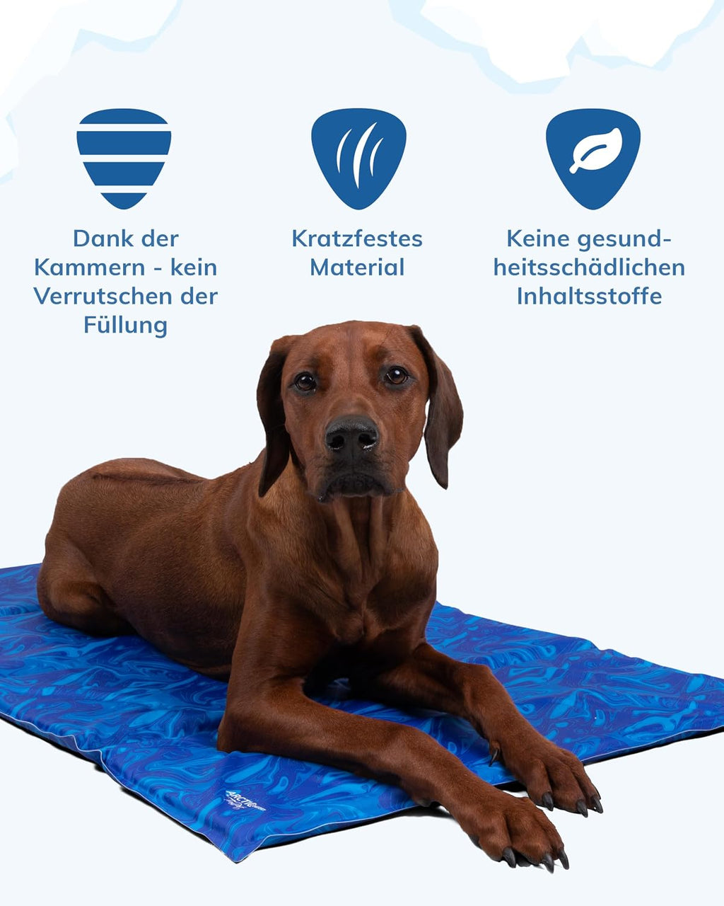 TrendPet Arctic Comfort Kuehlmatte Hund 60x45 cm 20 mm extra dick selbstkuehlend