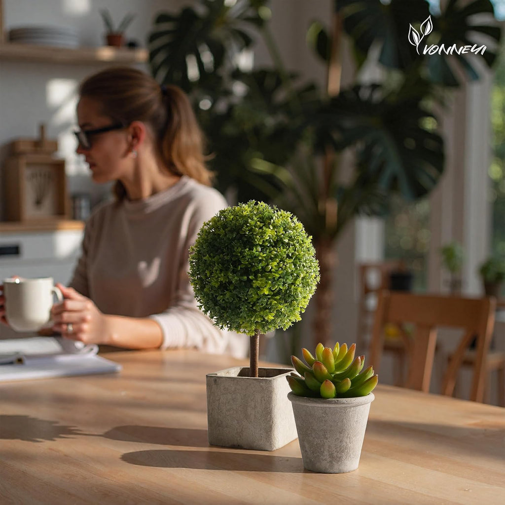 YVONNEYI 4er Set kuenstliche Sukkulenten 25,5/14,6 cm Dekopflanzen Innen