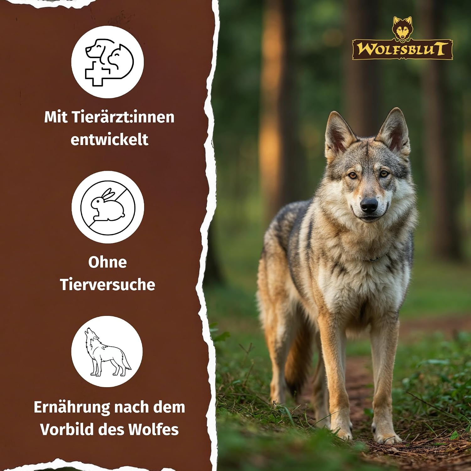 Wolfsblut Wild Duck Adult Hundefutter getreidefrei Ente verschi