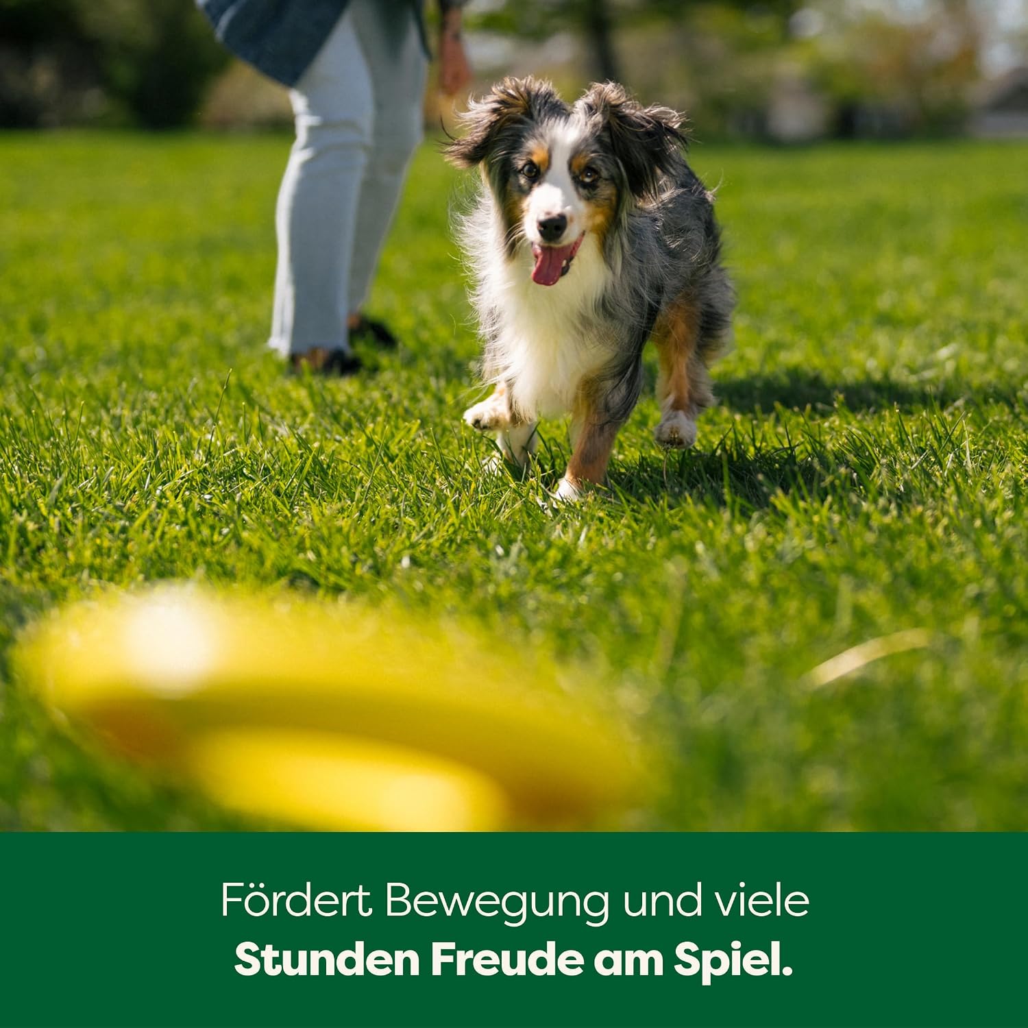 Earth Rated Fliegender Ring Hundespielzeug Wasserdicht Schwimmfaehig S-L Gelb