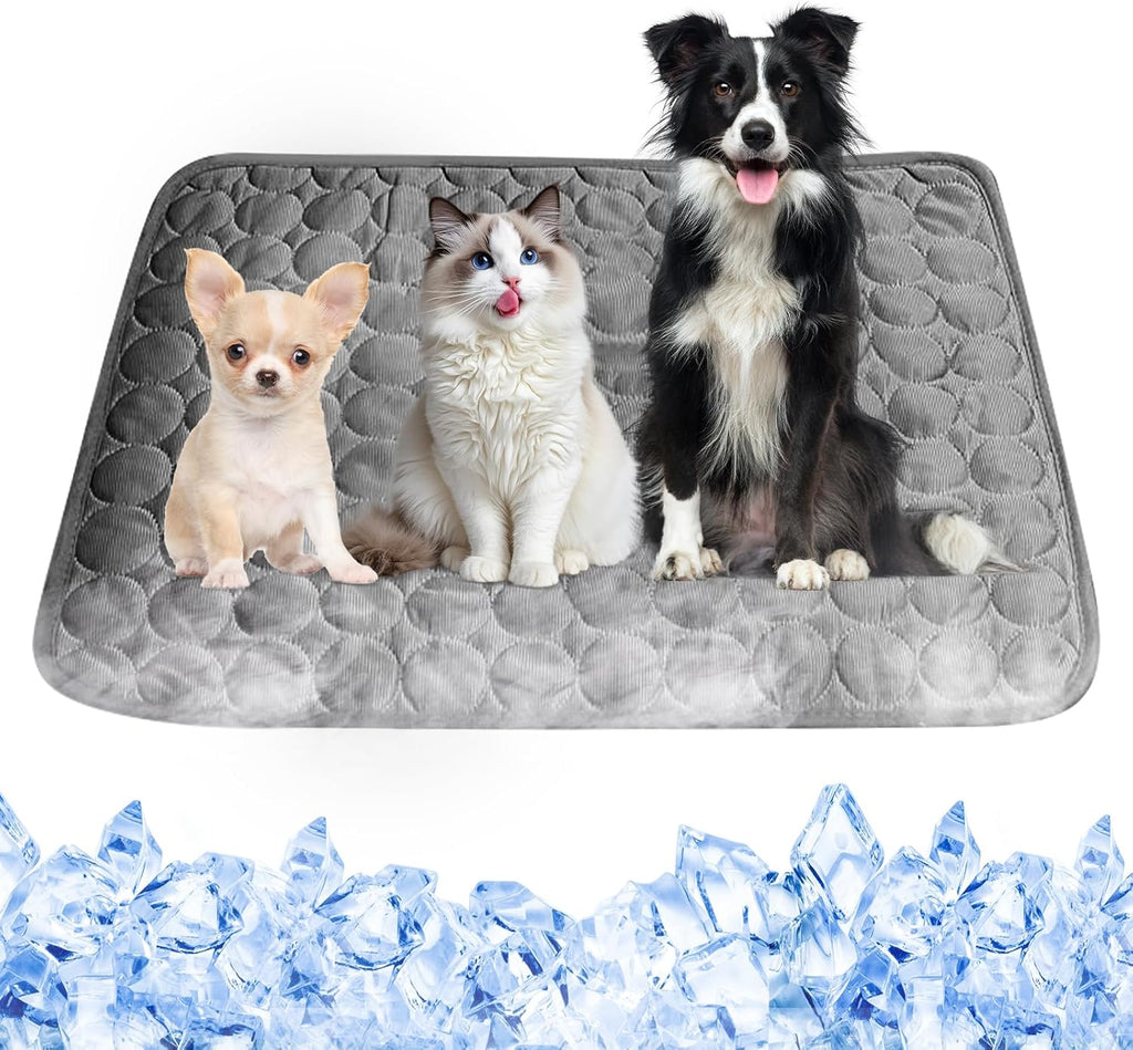 Kuehlmatte Hunde 70×55 cm blau - kuehlende Hundedecke abwischbar robust