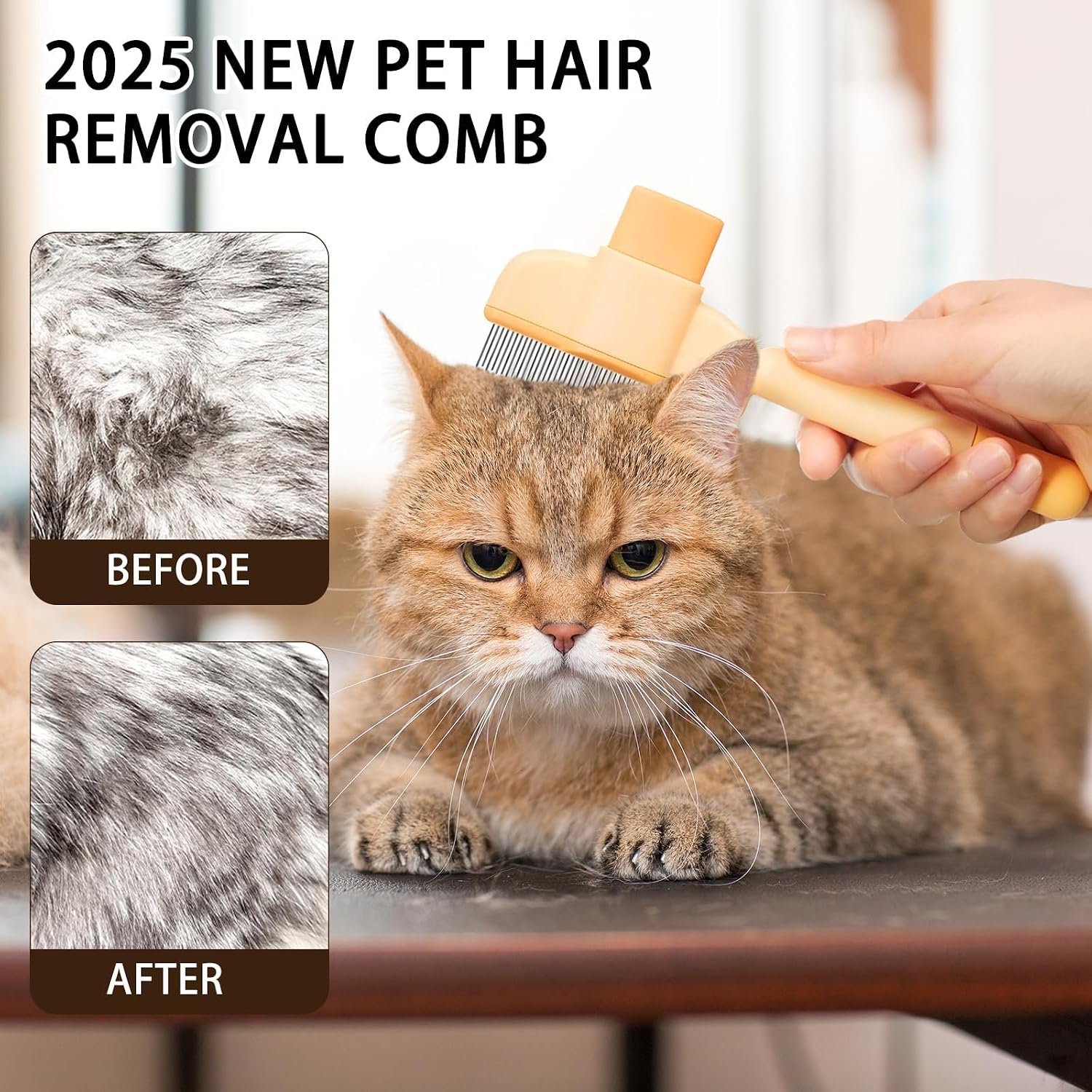 Katzenbesitzer Katzenbürste Fellpflege entfernt lose Haare 2er Set