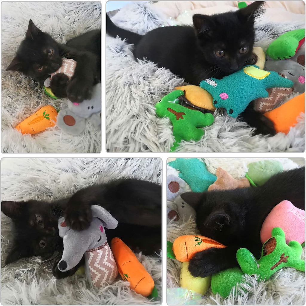 12er Set Katzenminze Spielzeug Plüschkissen Baldrian Knisterbälle für Katze