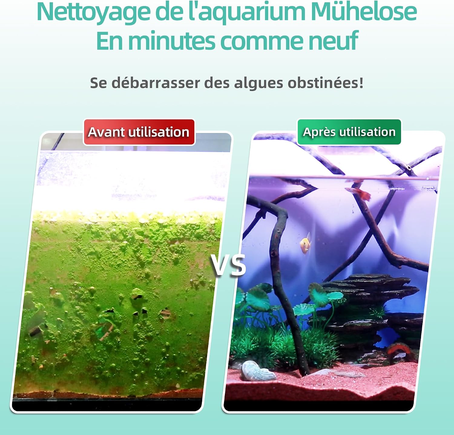 Boxtech Aquarium Algenkratzer 50 cm Edelstahlklingen Glasreiniger