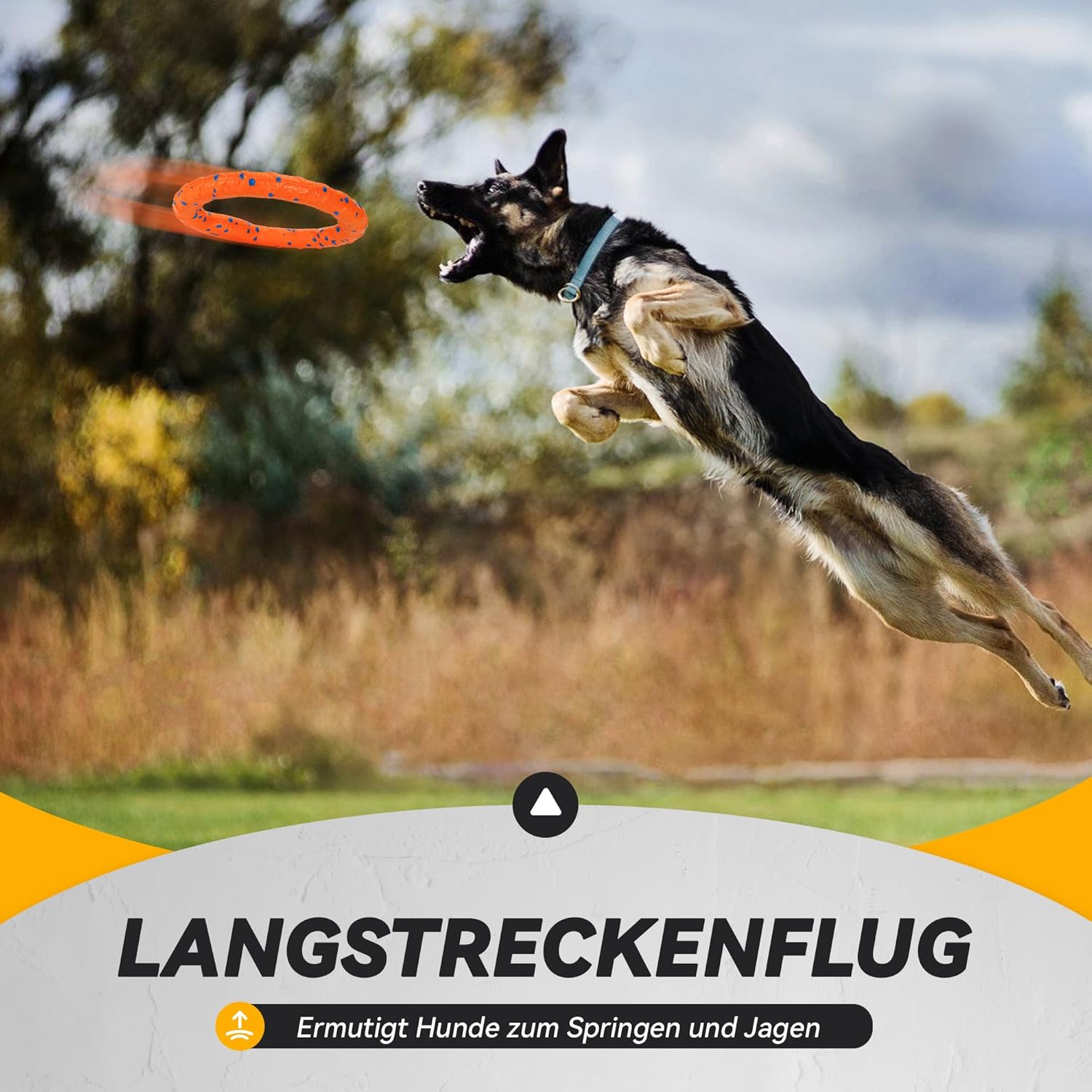Kauring Hundespielzeug Schwimmender Wurf- und Trainingsring fuer Hunde