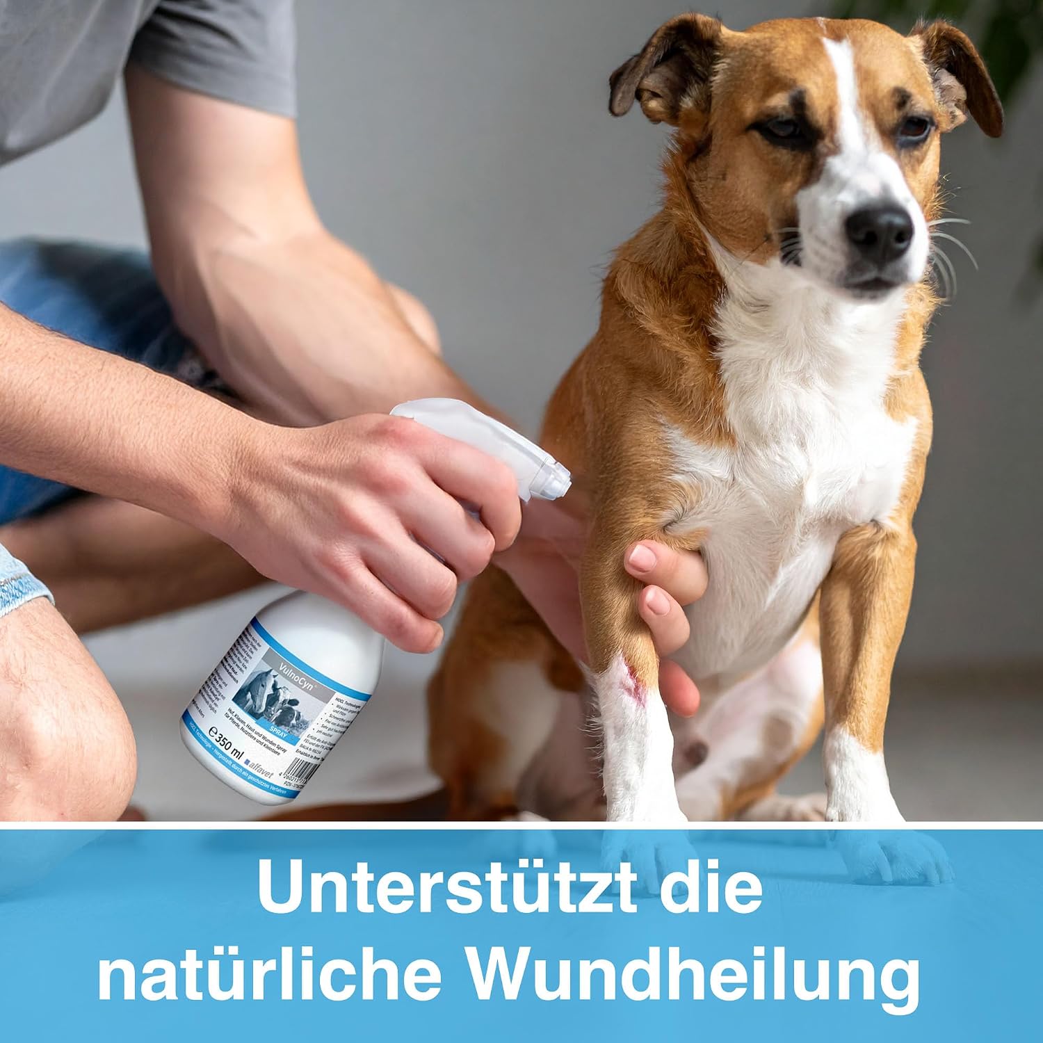 Tierhalter Wundspray pH-neutral alkoholfrei Haut- und Wundpflege