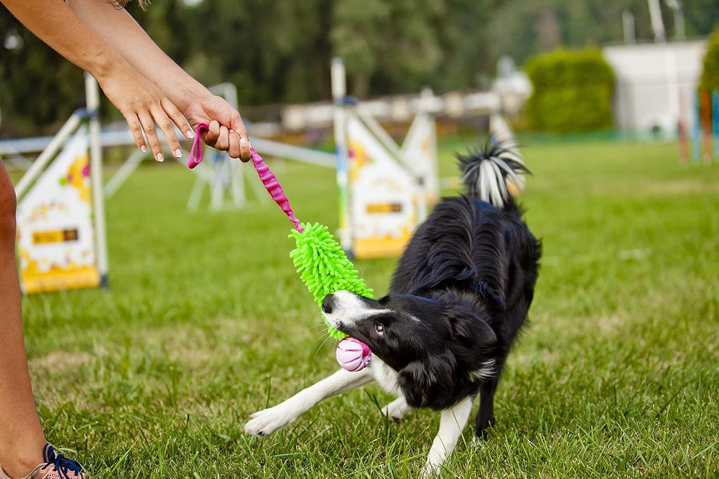 Dingo Mop Bungee Hundespielzeug Gruen Mikrofaser Vanille Duft Tauzieh Ball